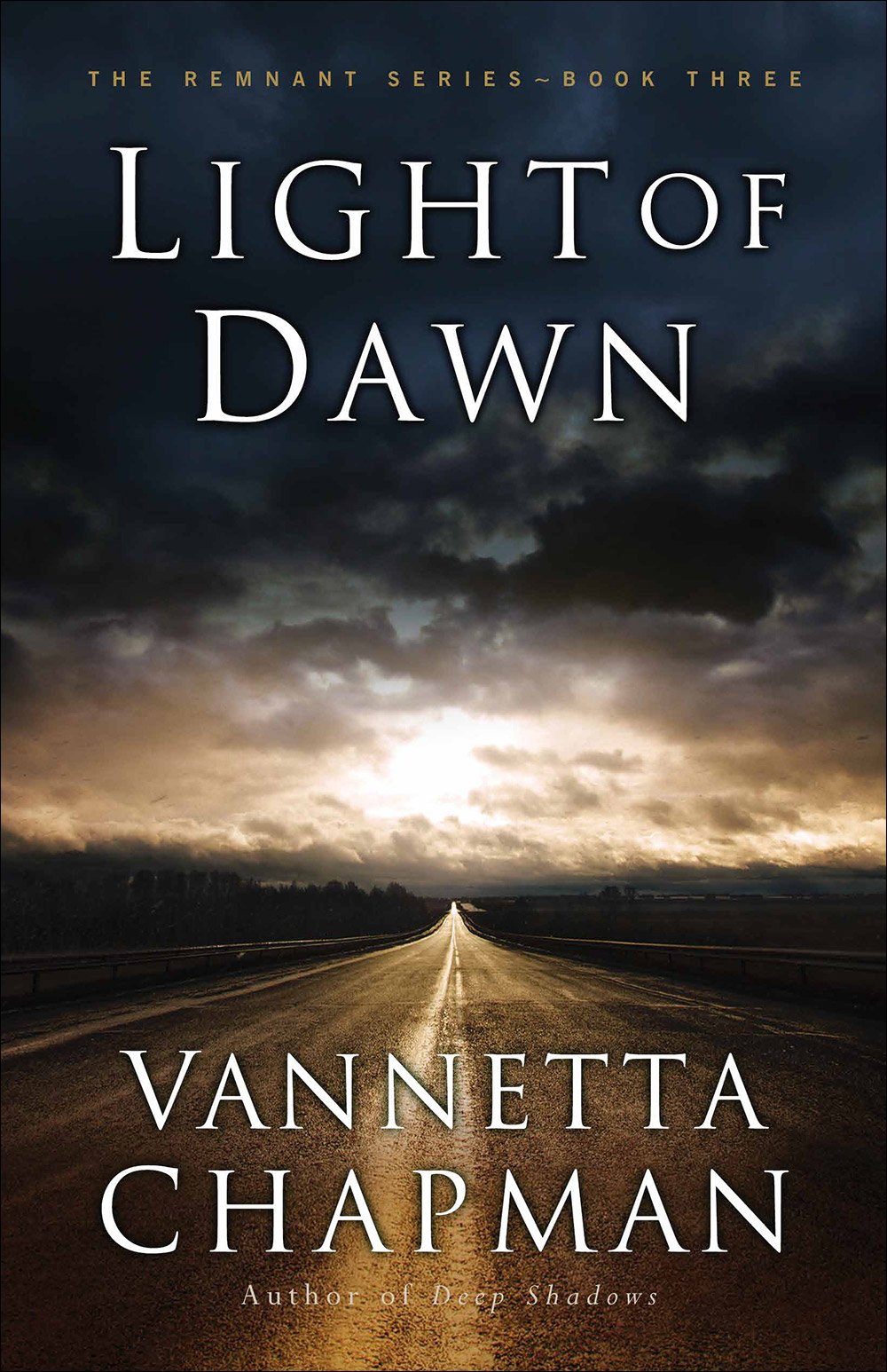 Light of Dawn (The Remnant Book 3) 9780736966573