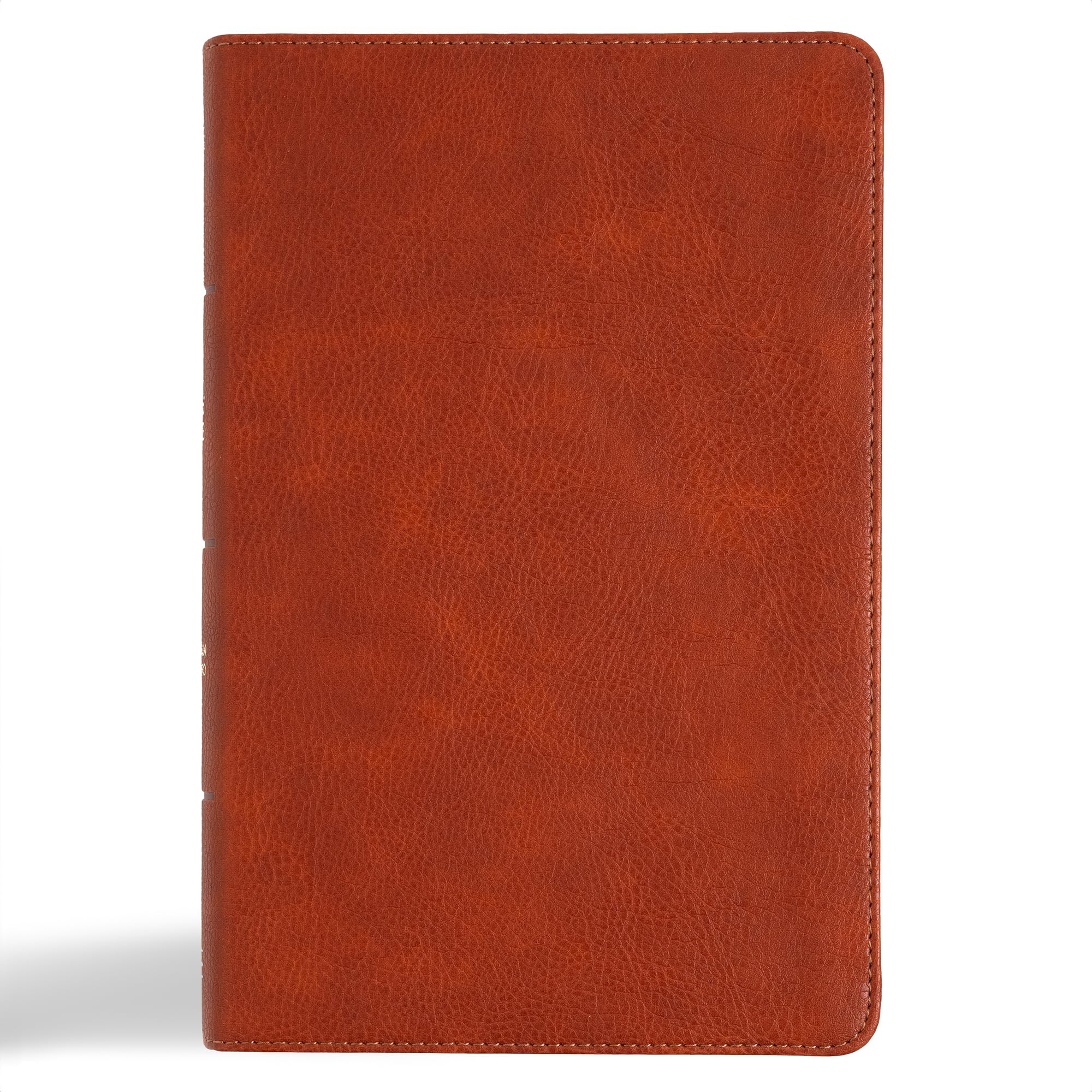 CSB Large Print Personal Size Reference Bible, Digital Study Edition, Burnt Sienna LeatherTouch, Red Letter, Easy-to-Read Bible Serif Type 9798384501725