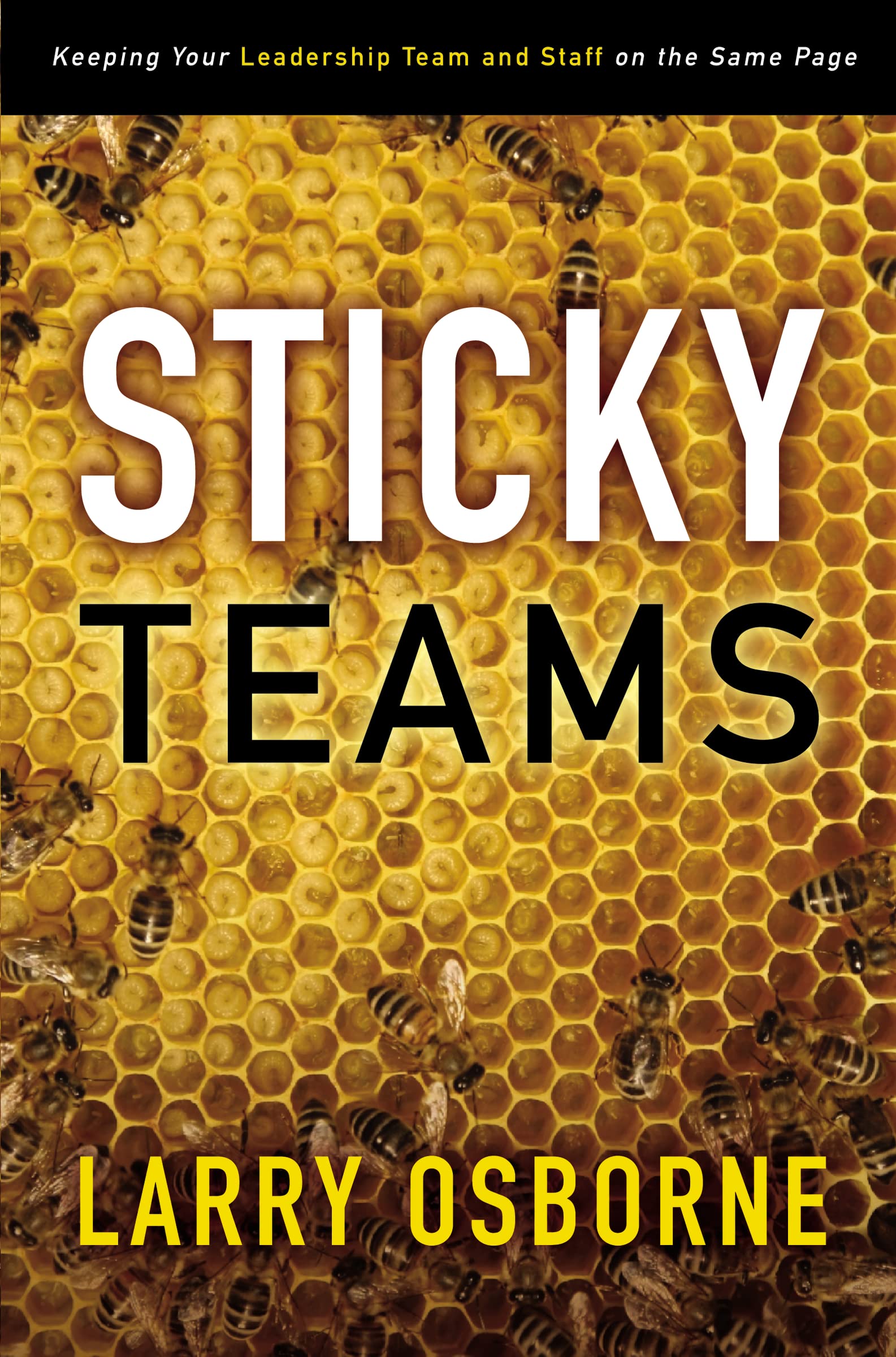 Sticky Teams: Keeping Your Leadership Team and Staff on the Same Page 9780310324645