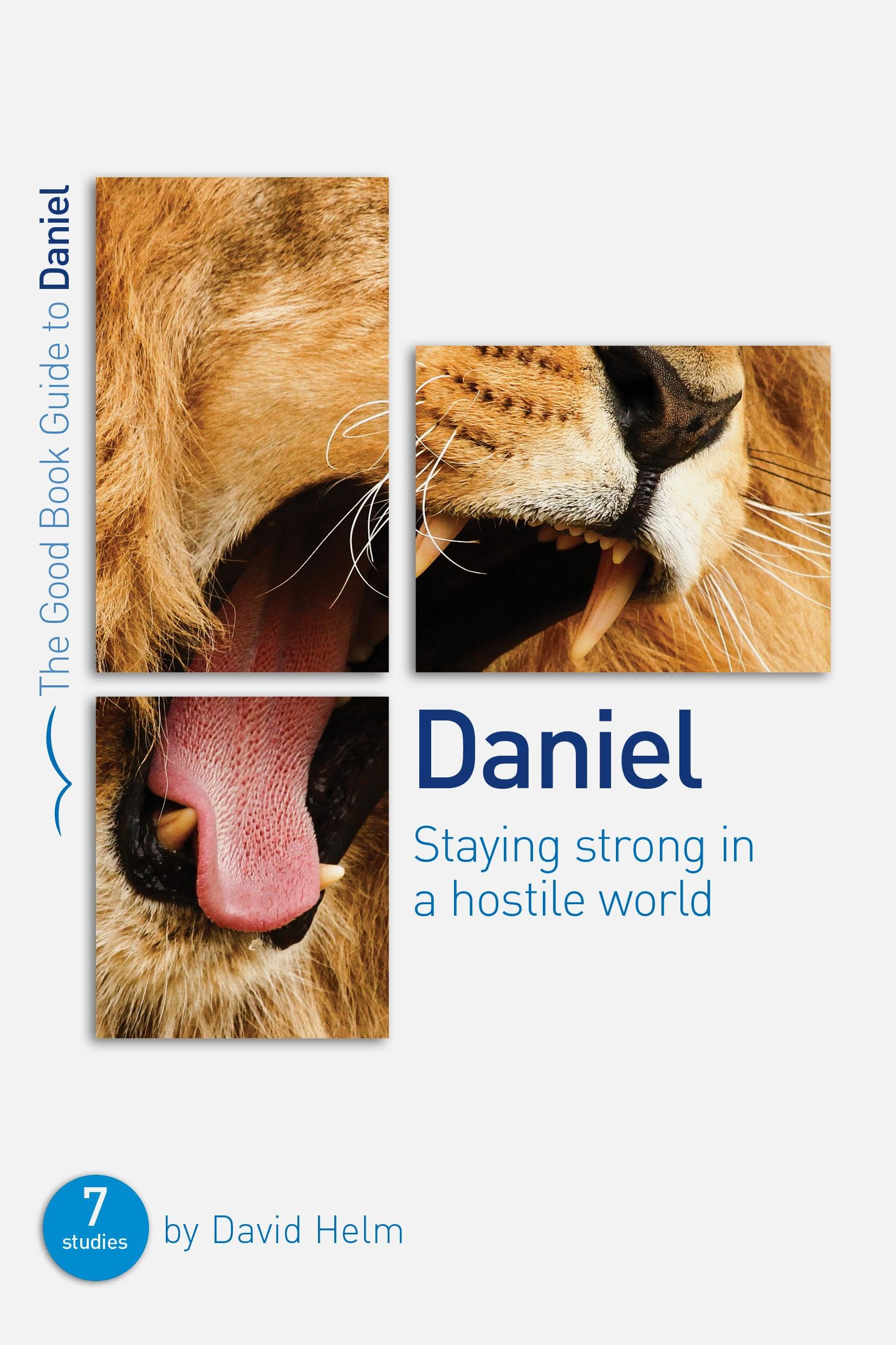 Daniel: Staying strong in a hostile world (Good Book Guides) 9781910307328
