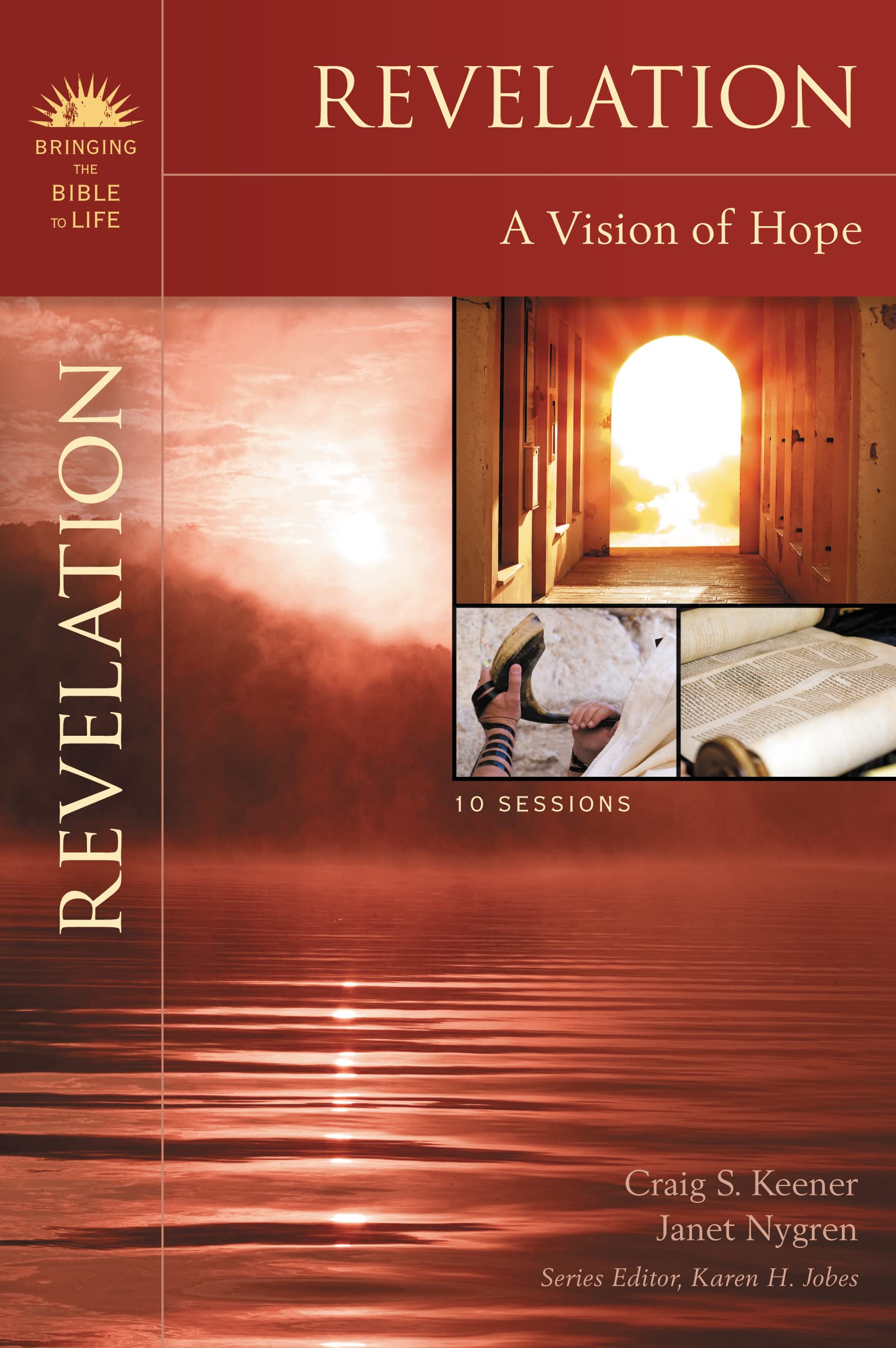 Revelation: A Vision of Hope (Bringing the Bible to Life) 9780310320463
