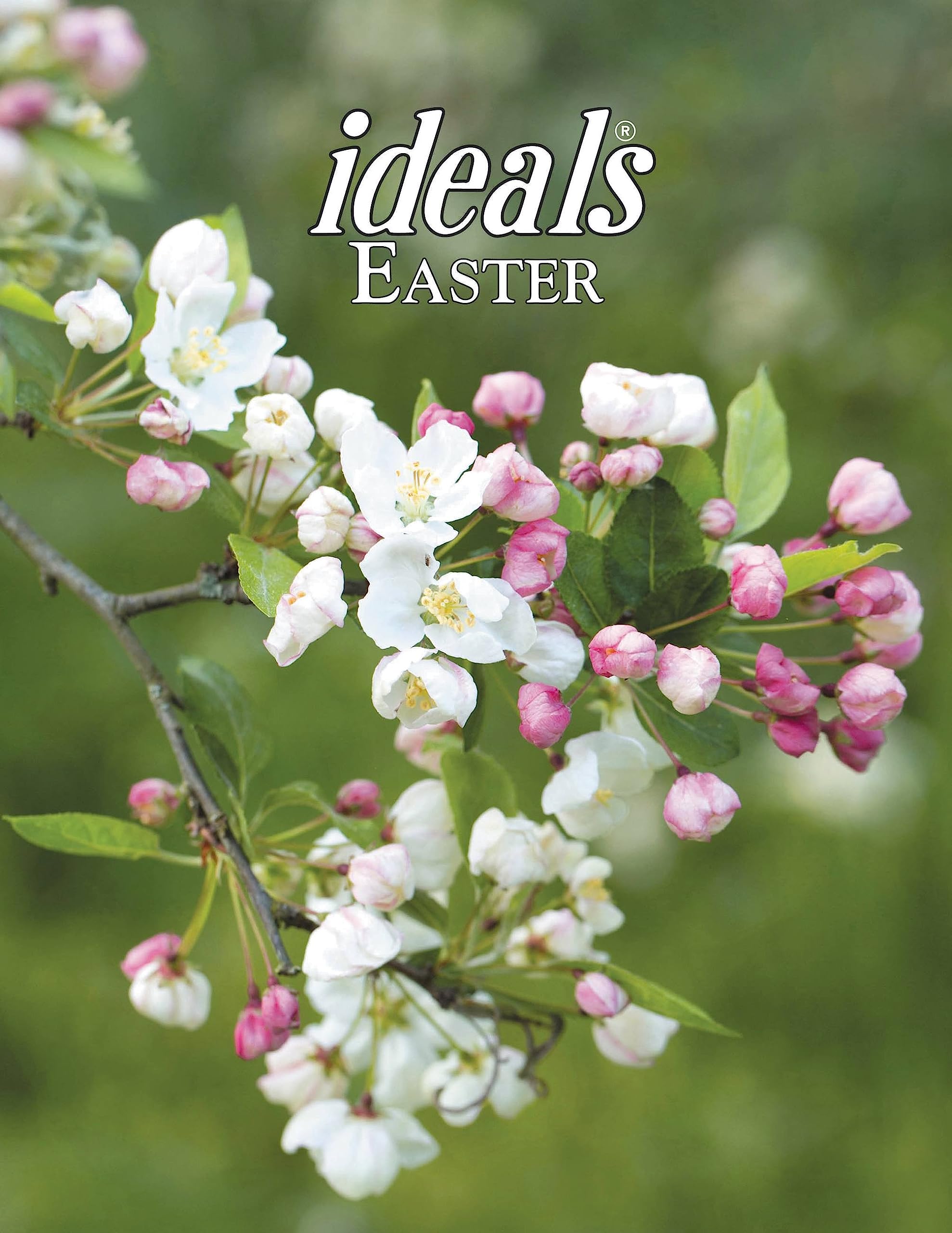 Easter Ideals 2024 9781546006572