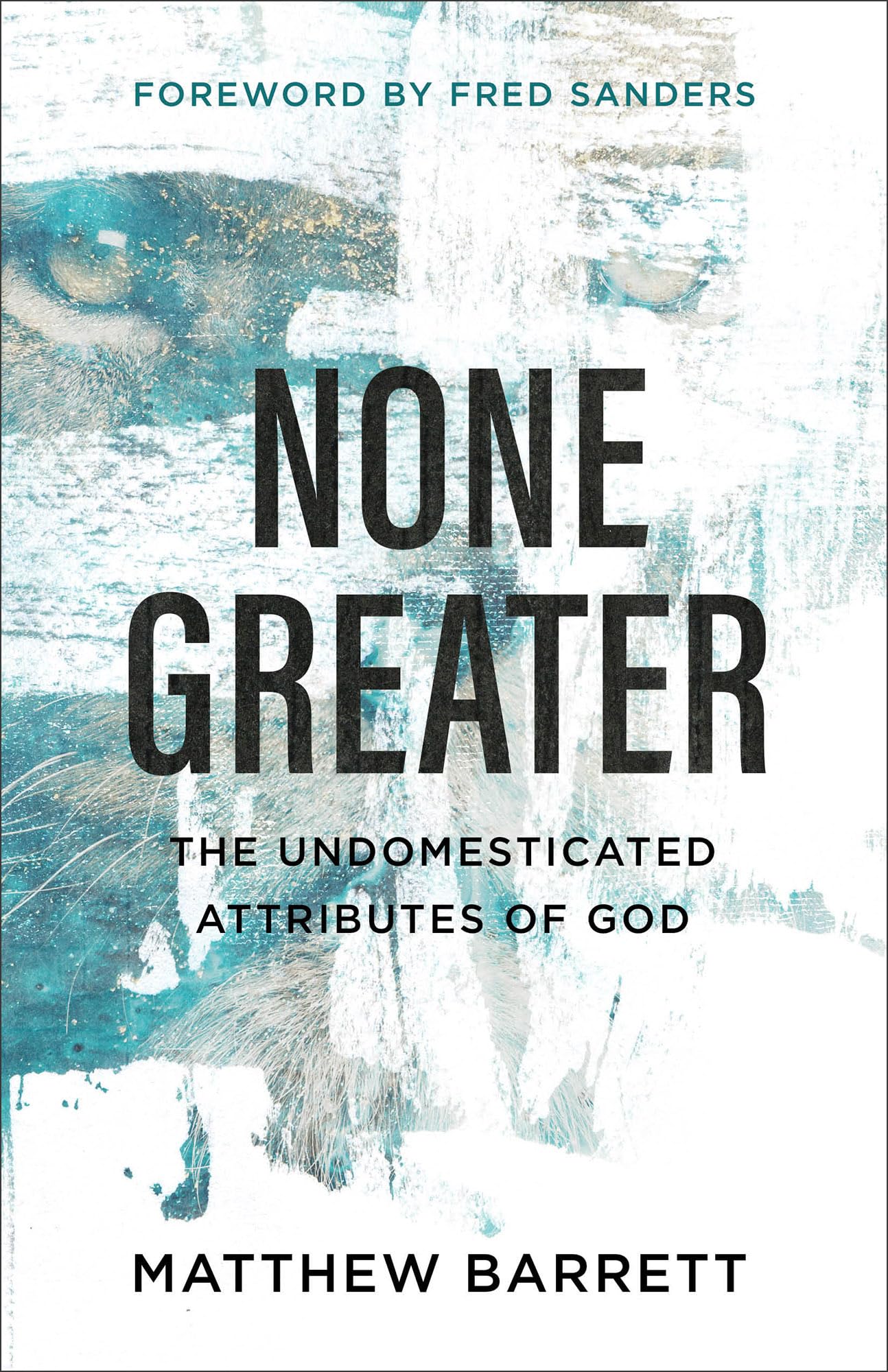 None Greater: The Undomesticated Attributes of God 9780801098741