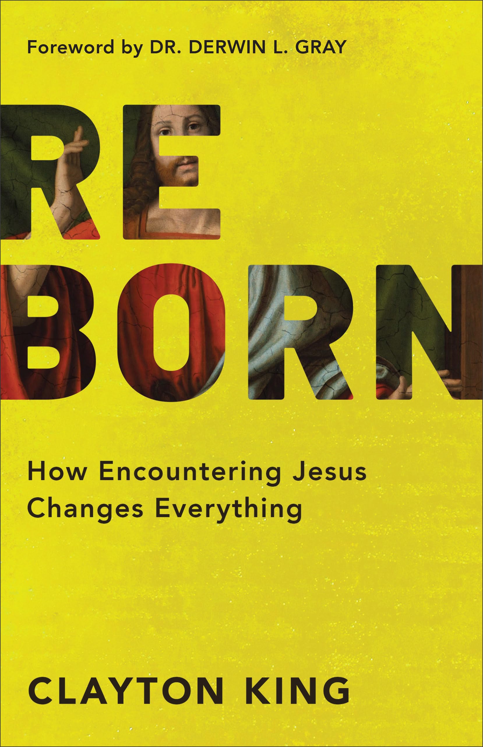 Reborn: How Encountering Jesus Changes Everything 9780801019609
