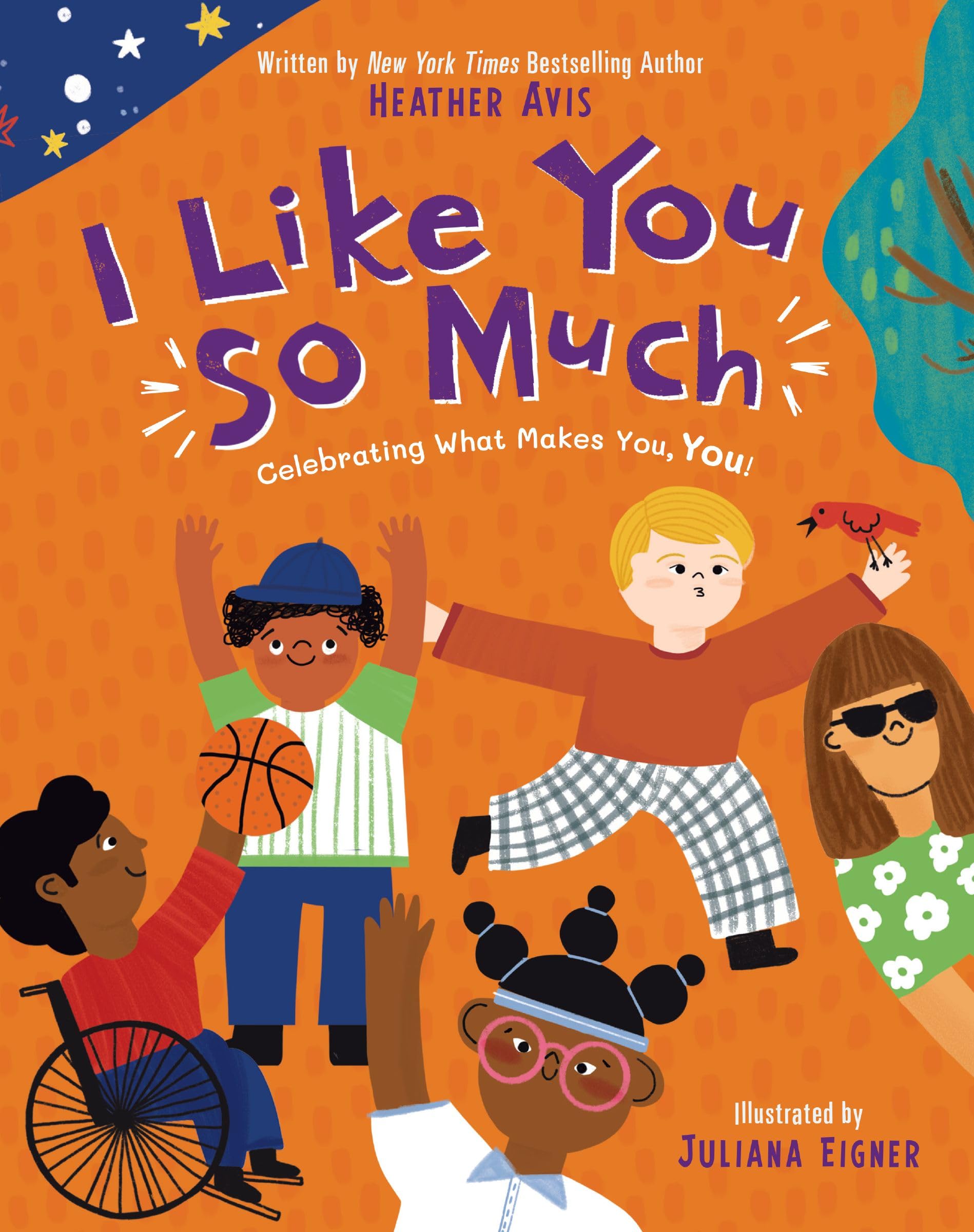 I Like You So Much: Celebrating What Makes You, You! 9780310166597