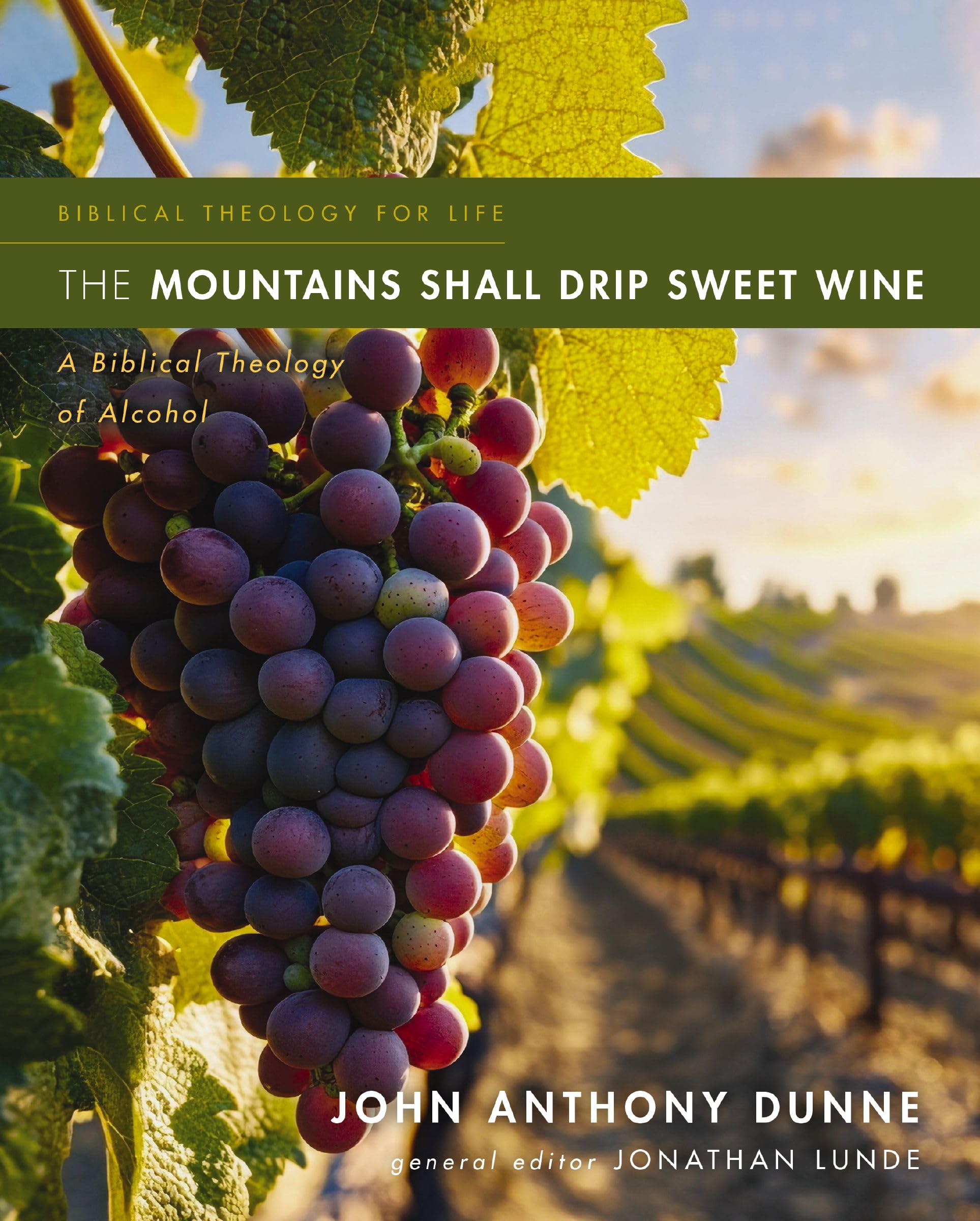 The Mountains Shall Drip Sweet Wine: A Biblical Theology of Alcohol (Biblical Theology for Life) 9780310516095