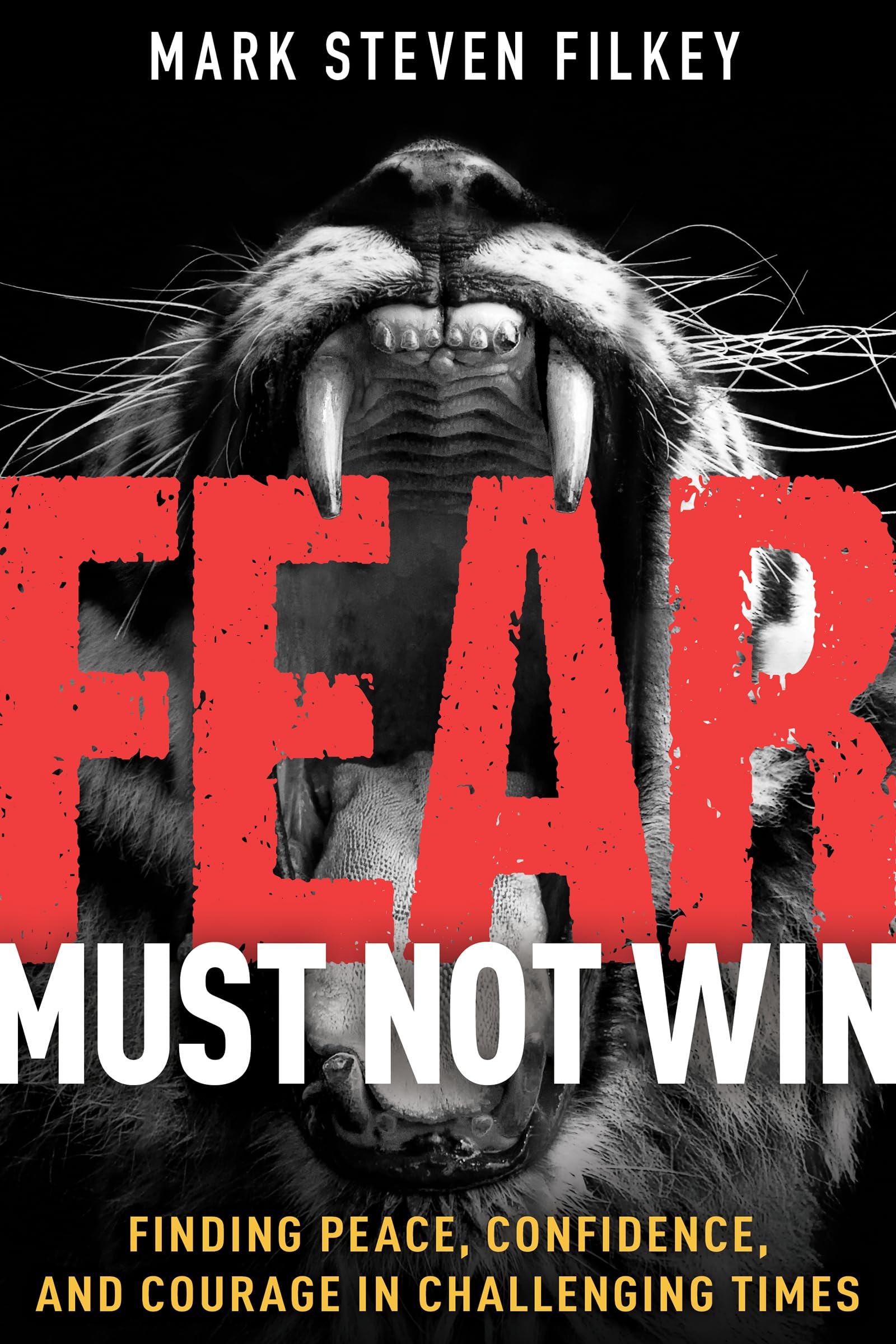 Fear Must Not Win: Finding Peace, Confidence, and Courage in Challenging Times 9781641238755