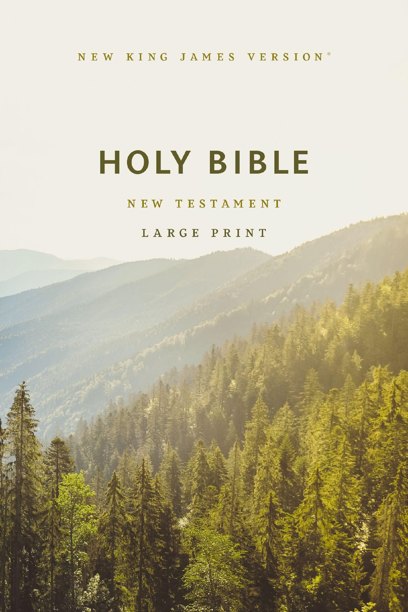 NKJV Large Print Outreach New Testament Bible, Scenic Softcover 9781400343706