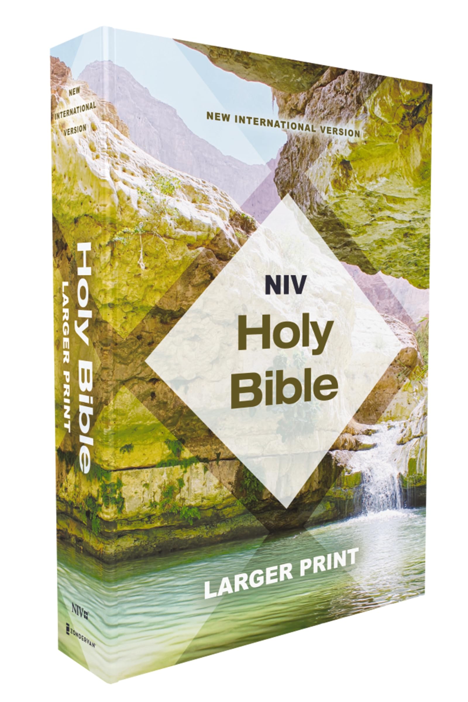 NIV Holy Bible, Larger Print, Economy Edition, Paperback, Teal/Tan 9780310463900