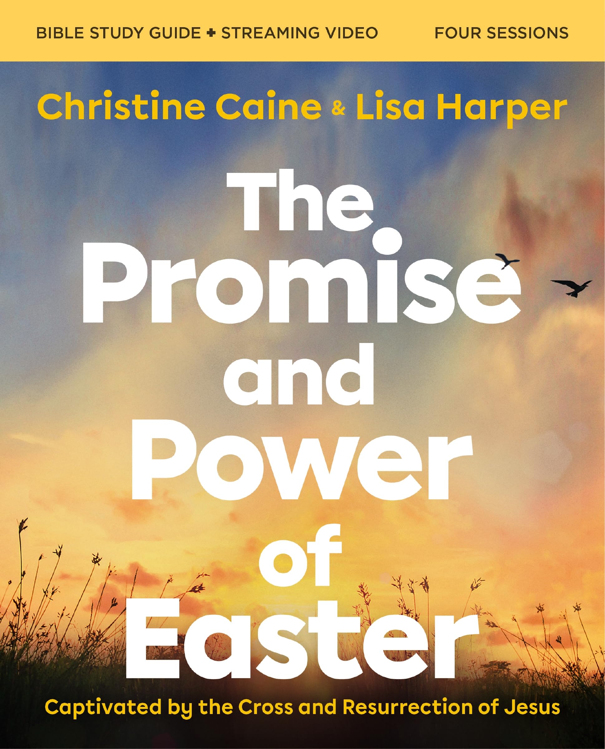 The Promise and Power of Easter Bible Study Guide plus Streaming Video 9780310170099