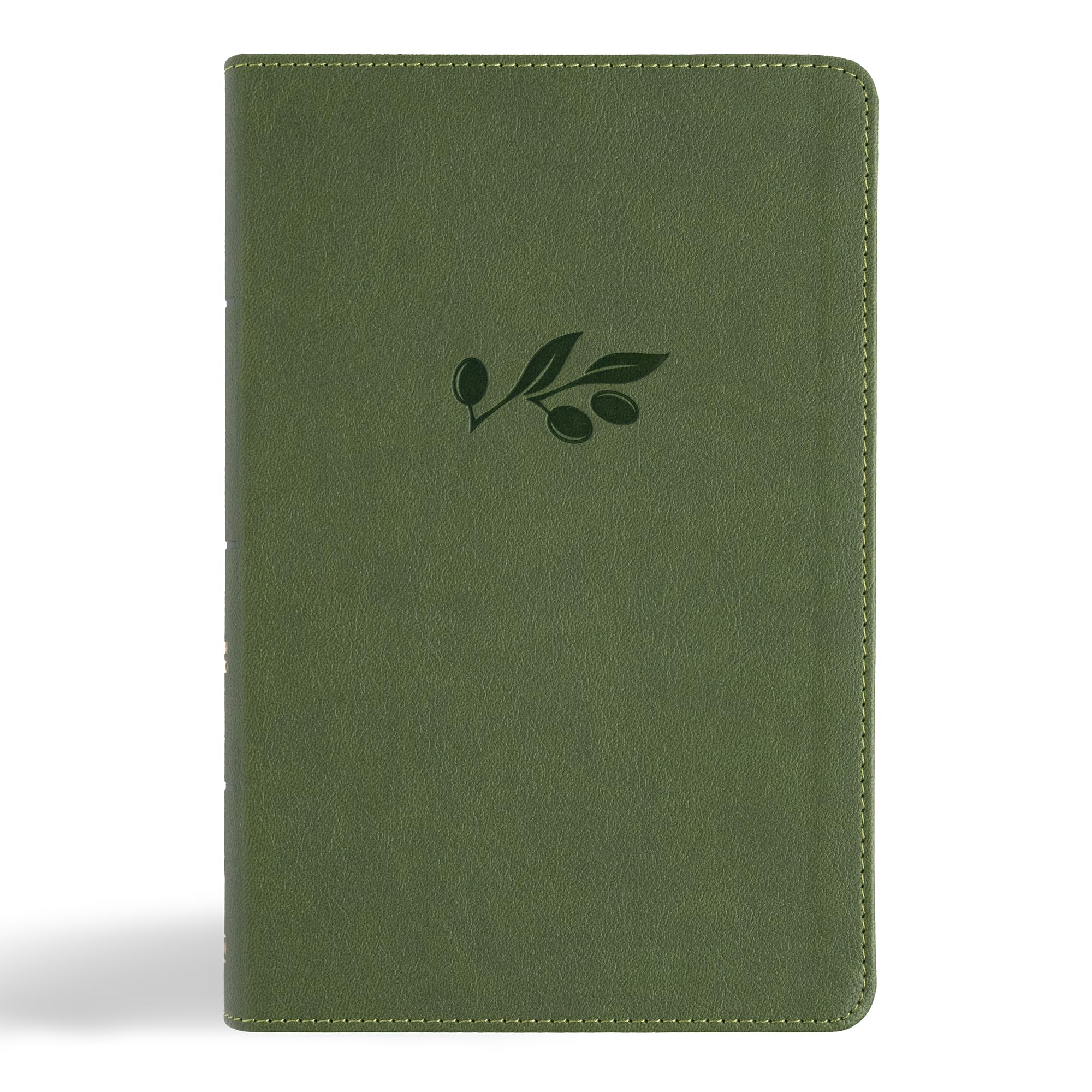 CSB Large Print Personal Size Reference Bible, Digital Study Edition, Olive LeatherTouch, Indexed, Red Letter, Easy-to-Read Bible Serif Type 9798384501756