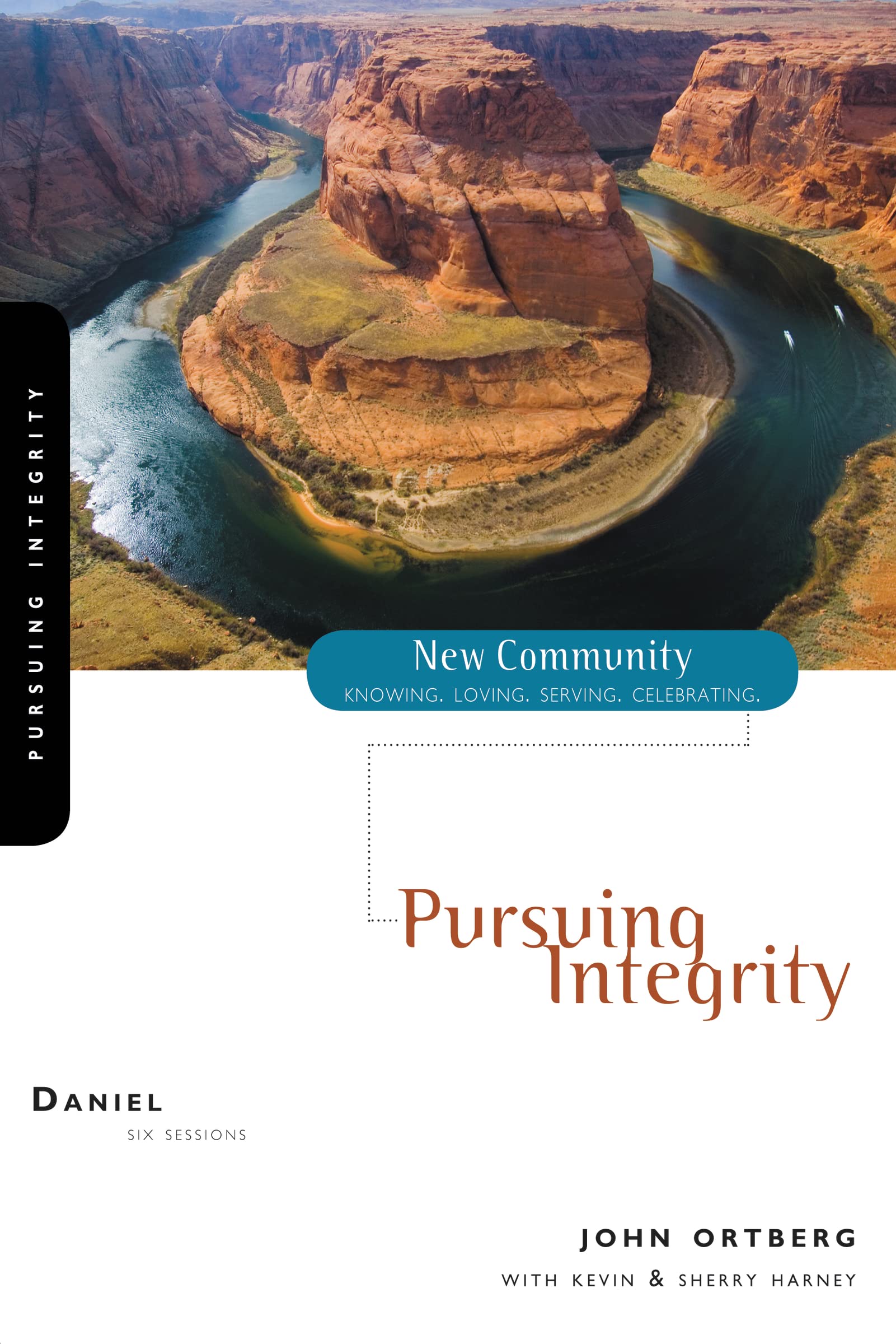 Daniel: Pursuing Integrity (New Community Bible Study Series) 9780310280538