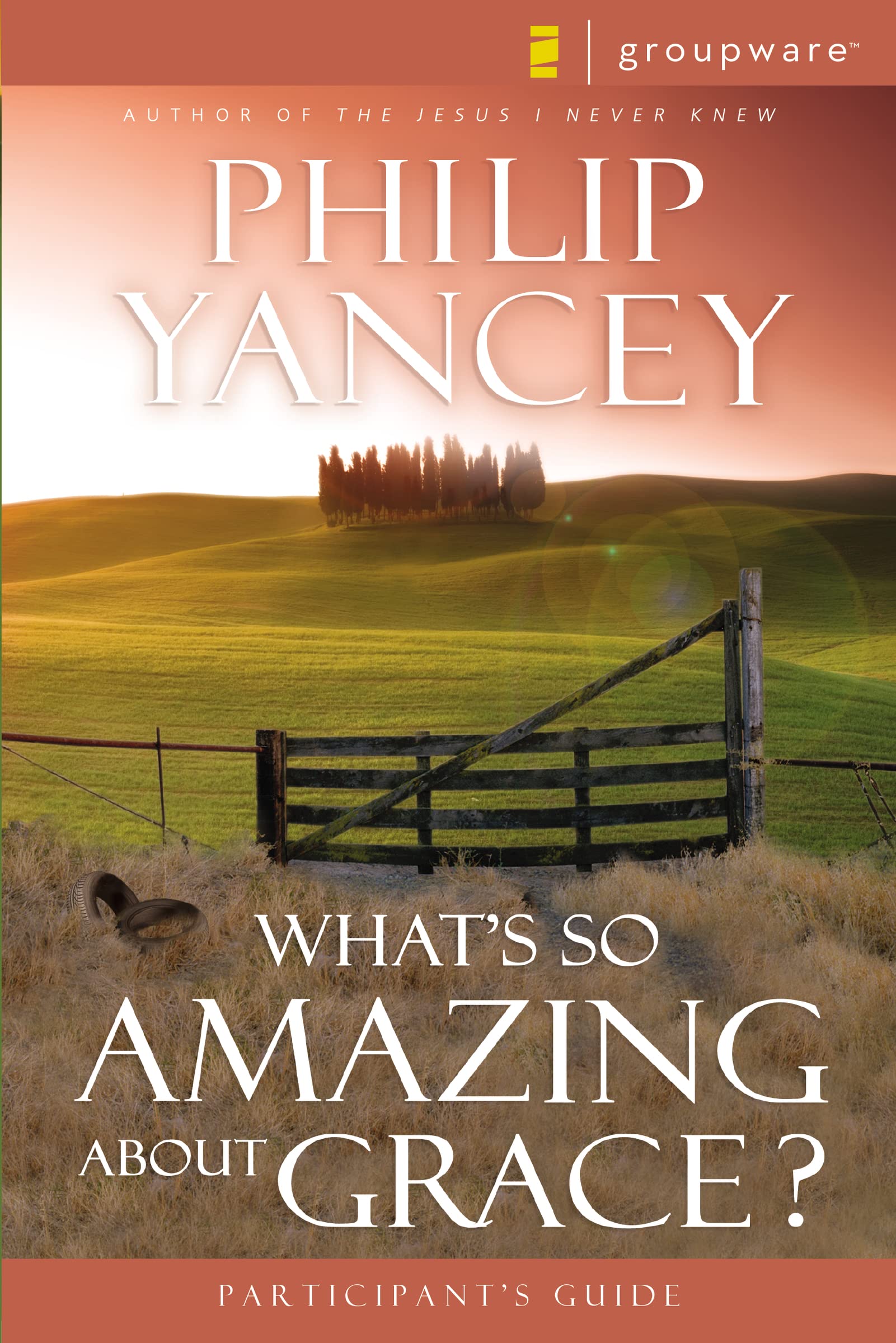 What's So Amazing About Grace? Participant's Guide 9780310233251