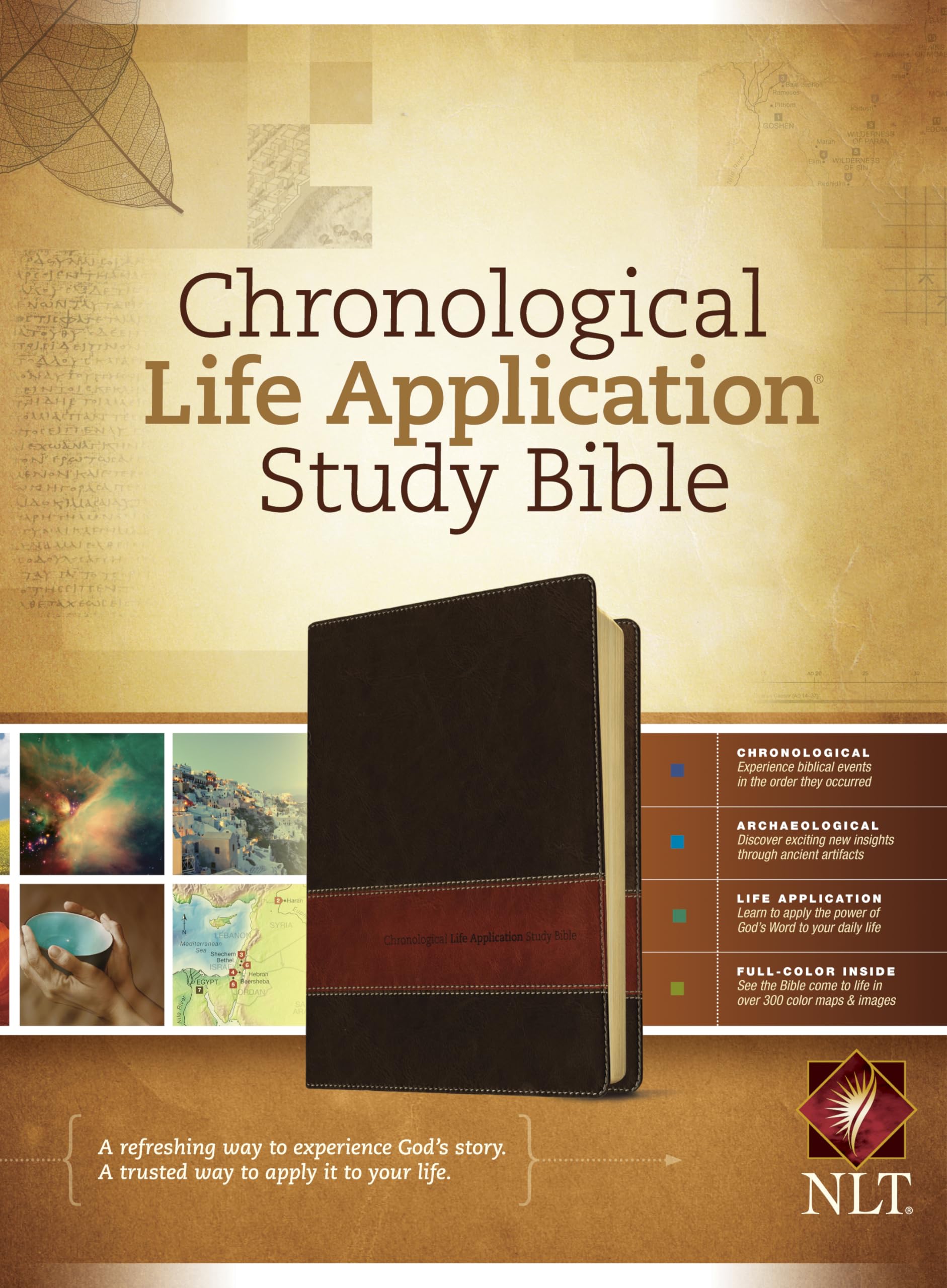 NLT Chronological Life Application Study Bible TuTone 9781414339283