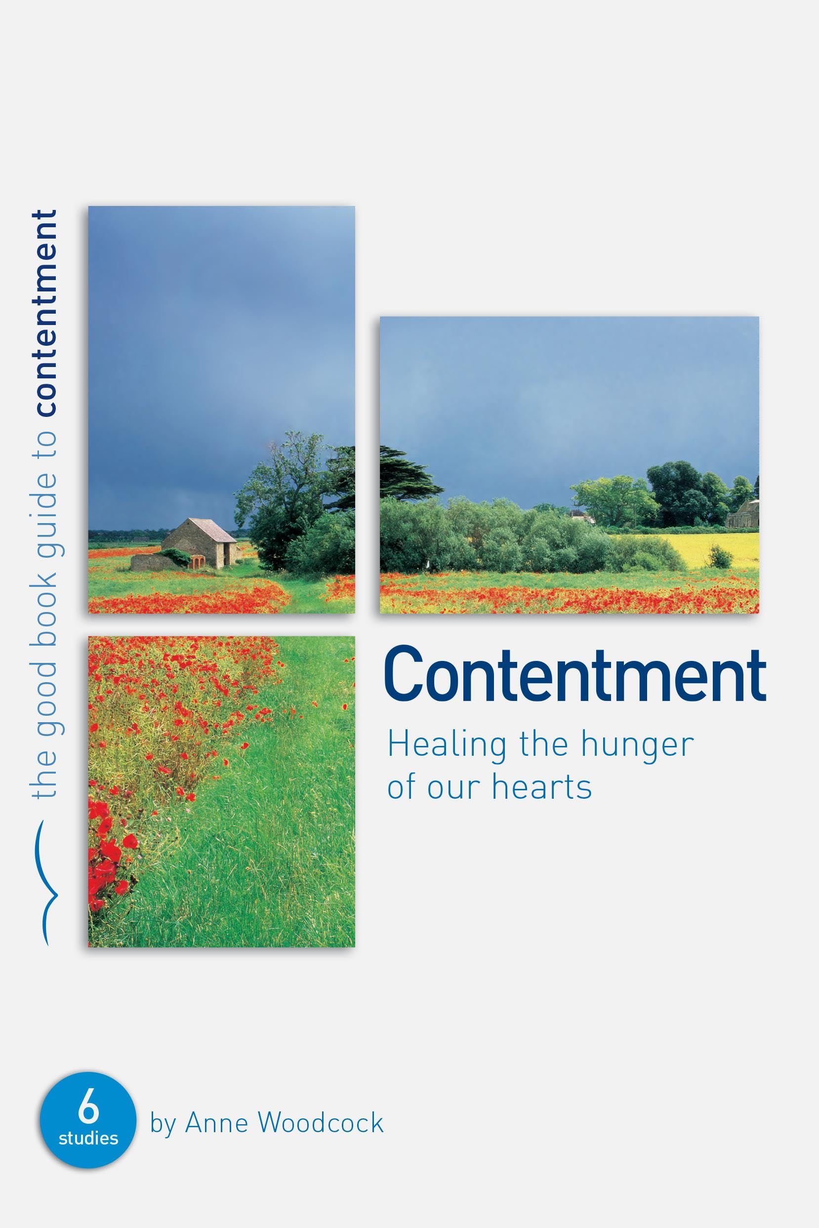 Contentment: Healing the hunger of our hearts (Good Book Guides) 9781905564668