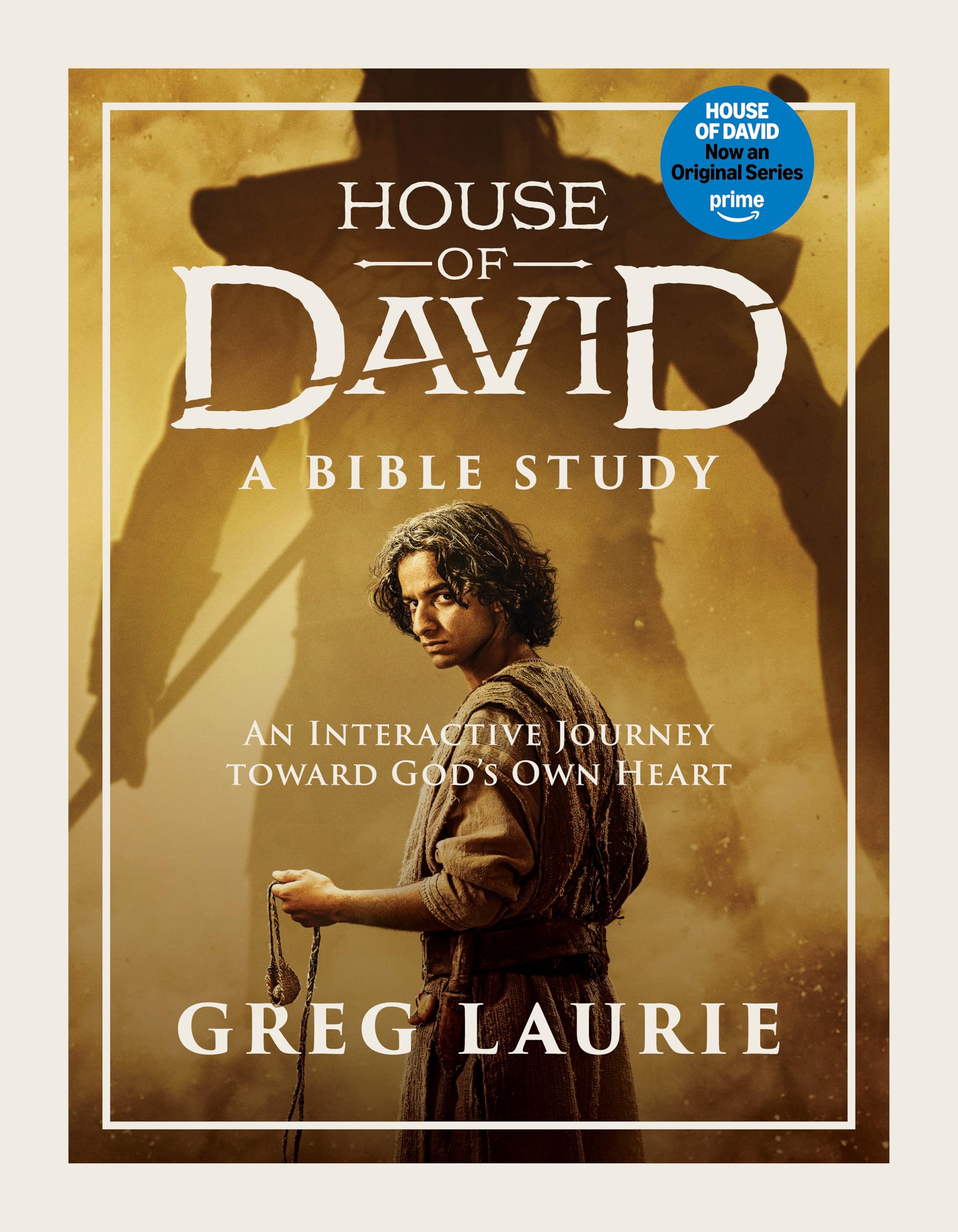 House of David (A Bible Study): An Interactive Journey toward God’s Own Heart 9780830789610