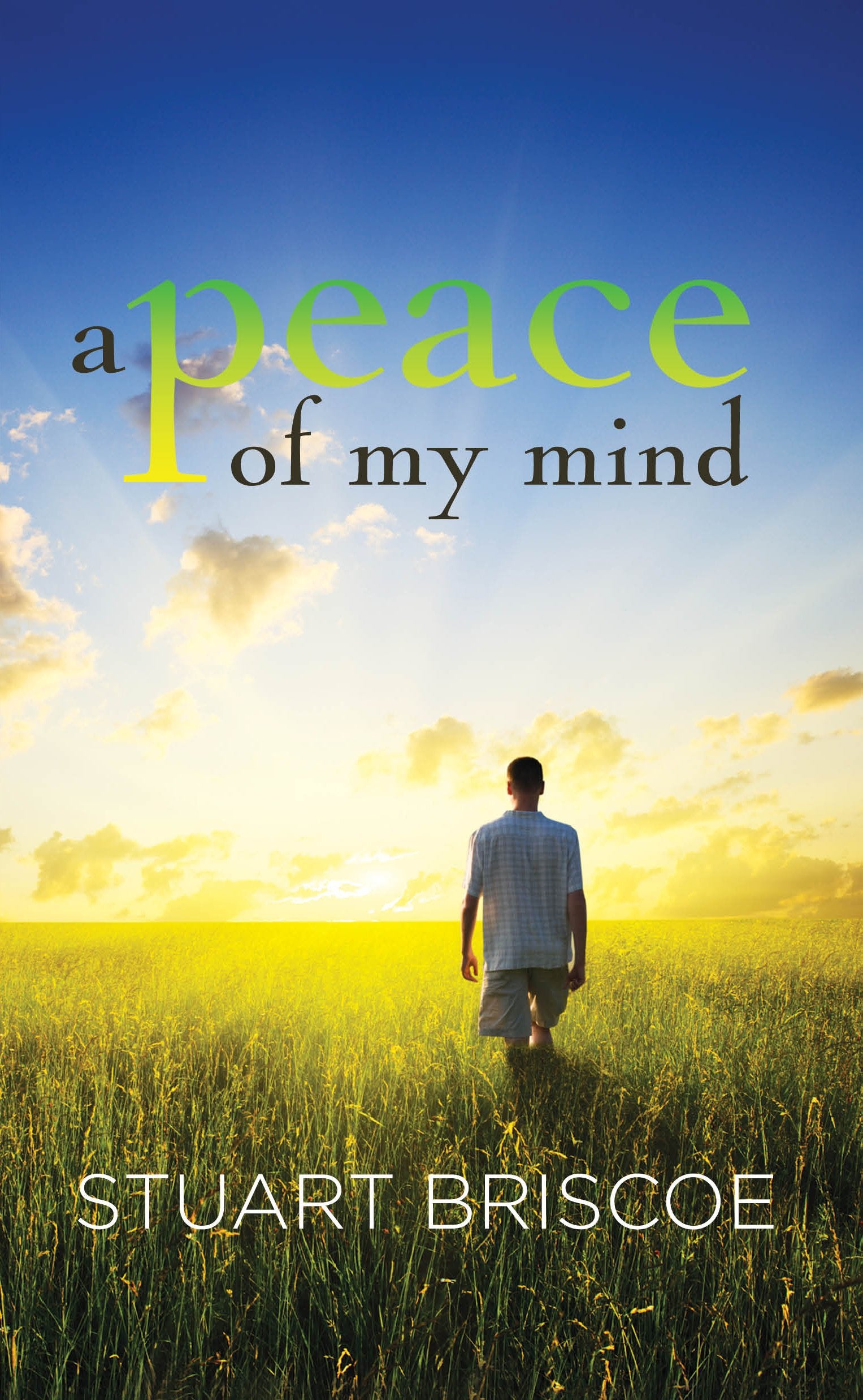 A Peace of My Mind 9780979237492