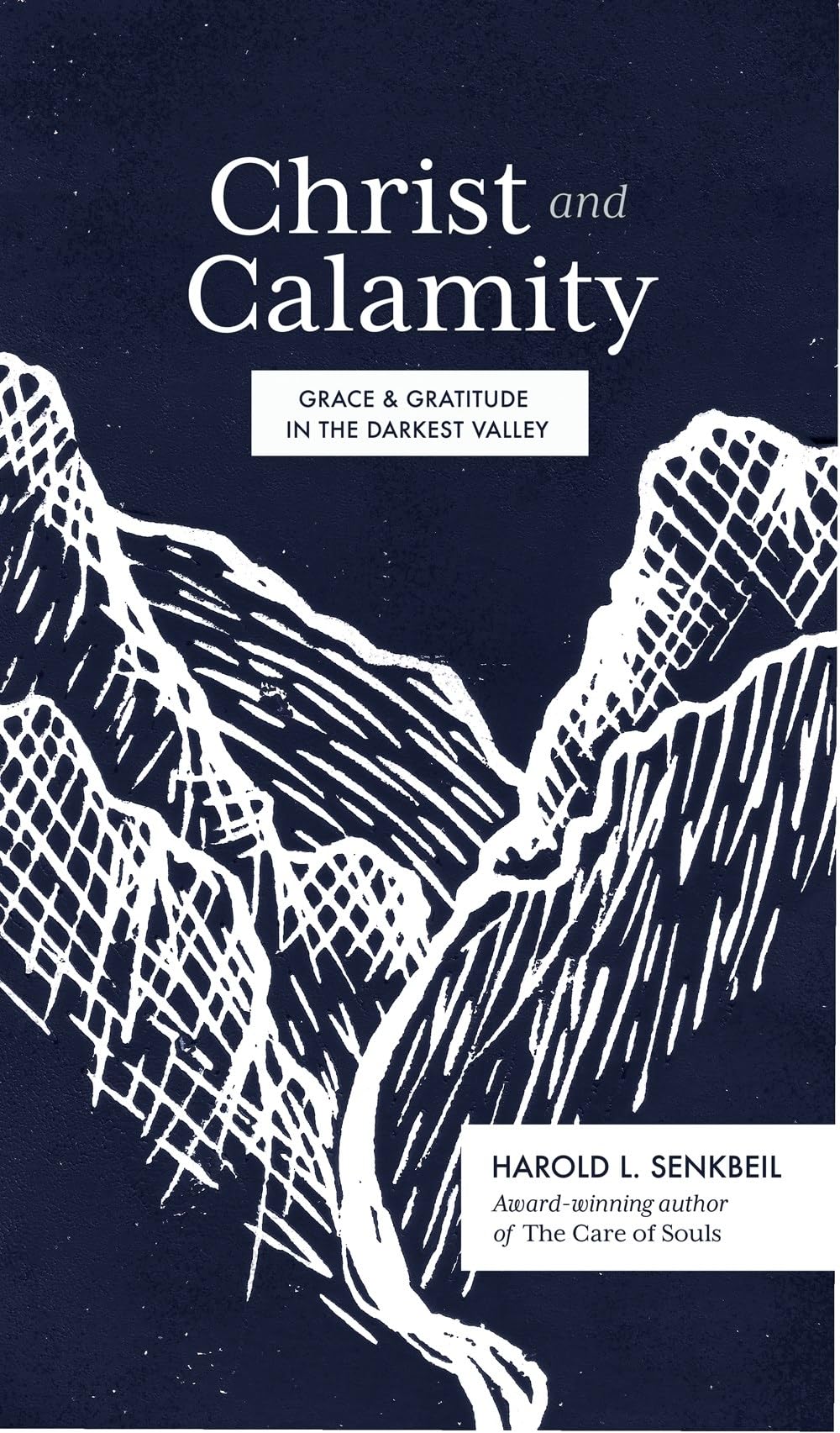 Christ and Calamity: Grace and Gratitude in the Darkest Valley 9781683594437
