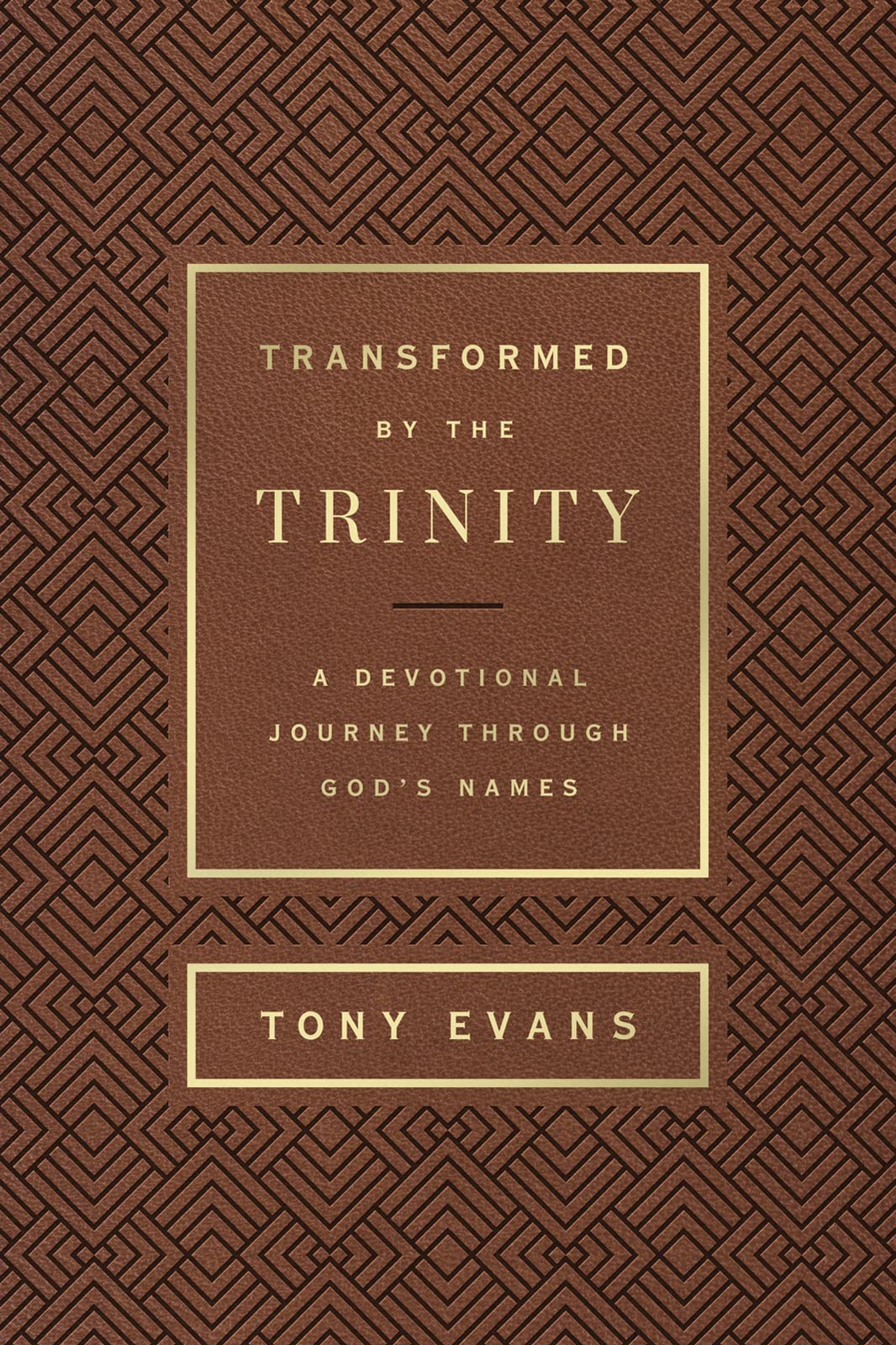 Transformed by the Trinity (Milano Softone): A Devotional Journey Through God's Names (The Names of God Series) 9780736985055