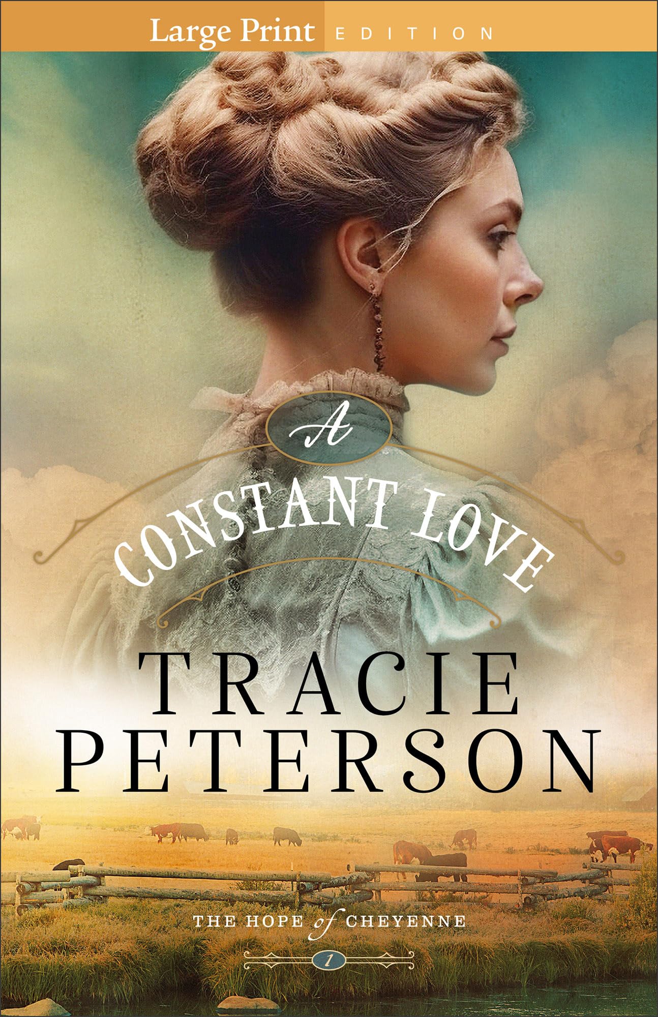 A Constant Love (The Hope of Cheyenne) Large Print, Book 1 of 3 9780764244469