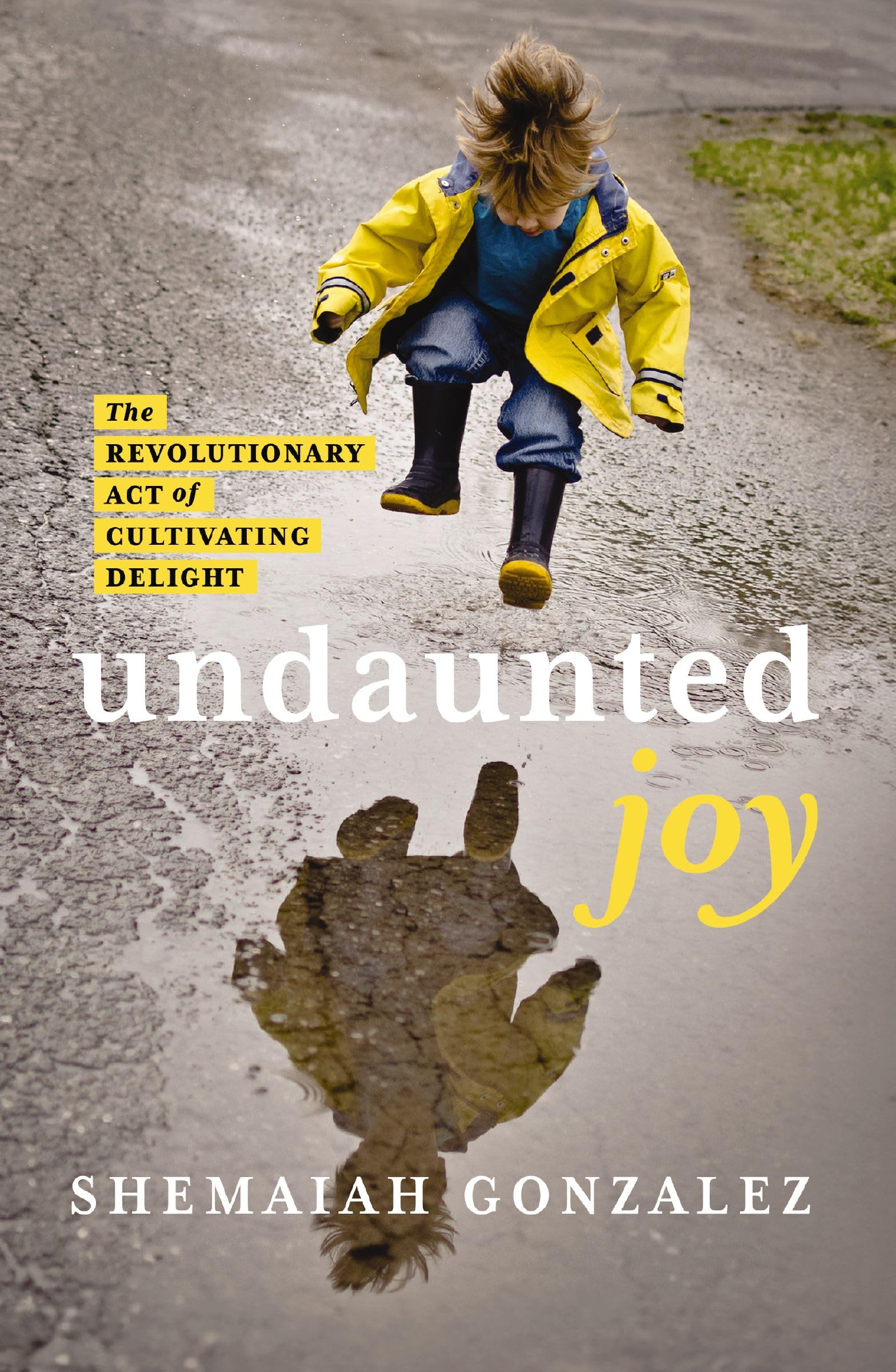 Undaunted Joy: The Revolutionary Act of Cultivating Delight 9780310163176
