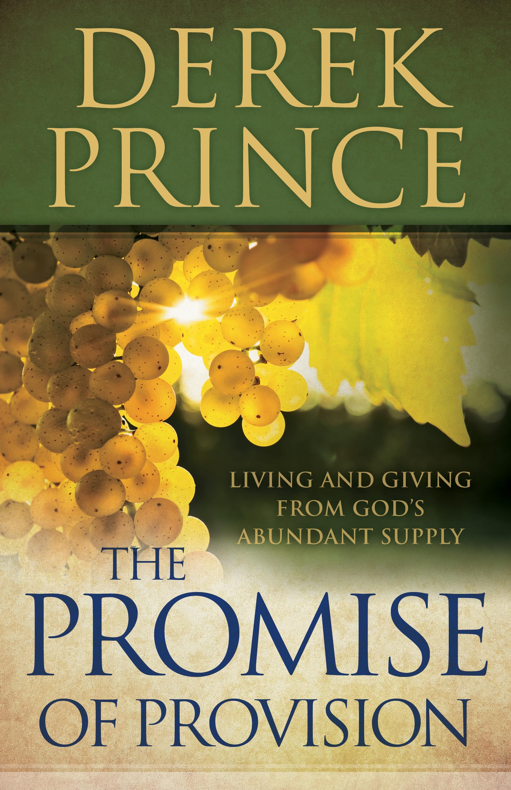 Promise of Provision, The 9780800795221