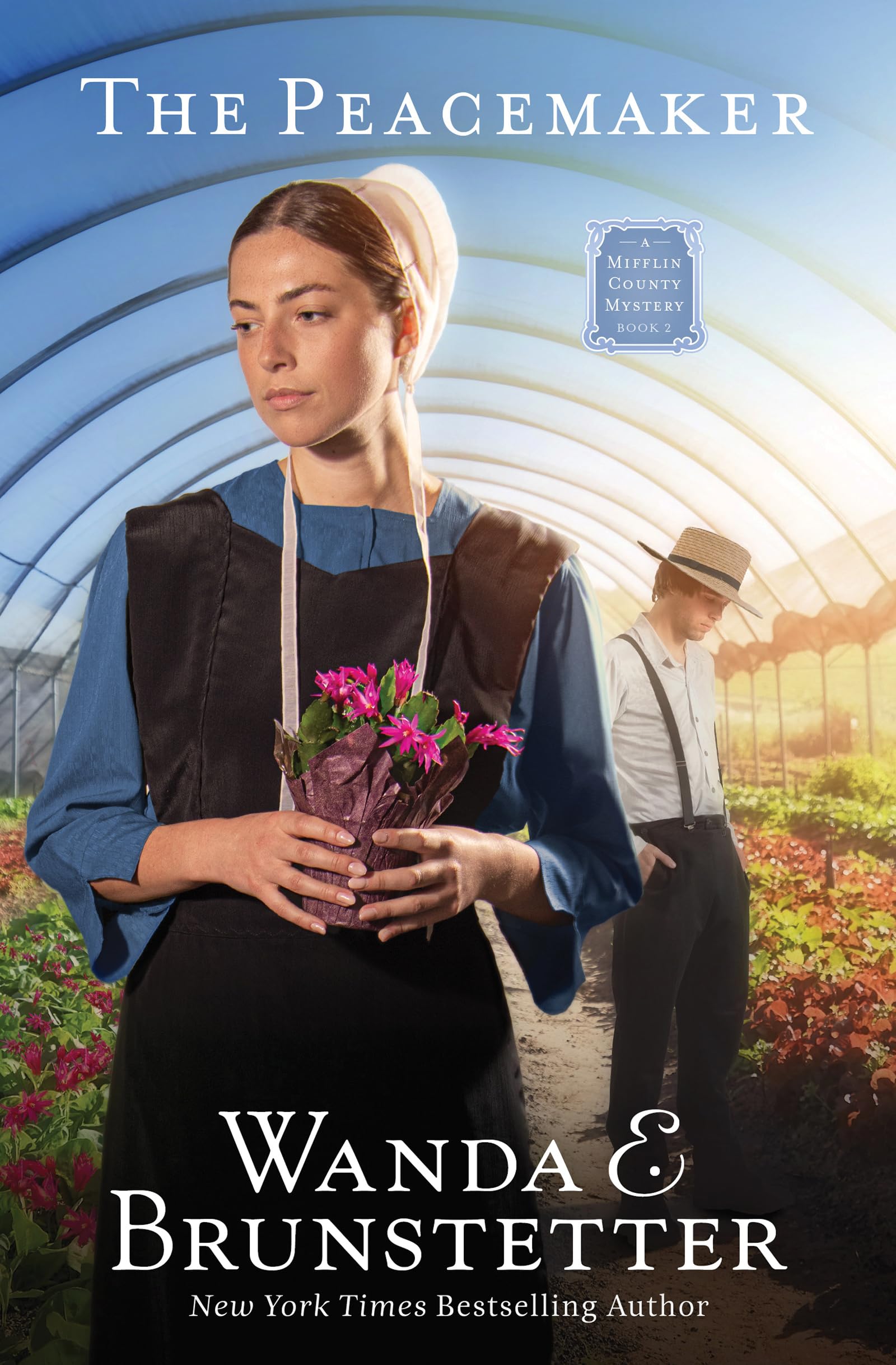 The Peacemaker (A Mifflin County Mystery, 2 of 3) 9781636099200