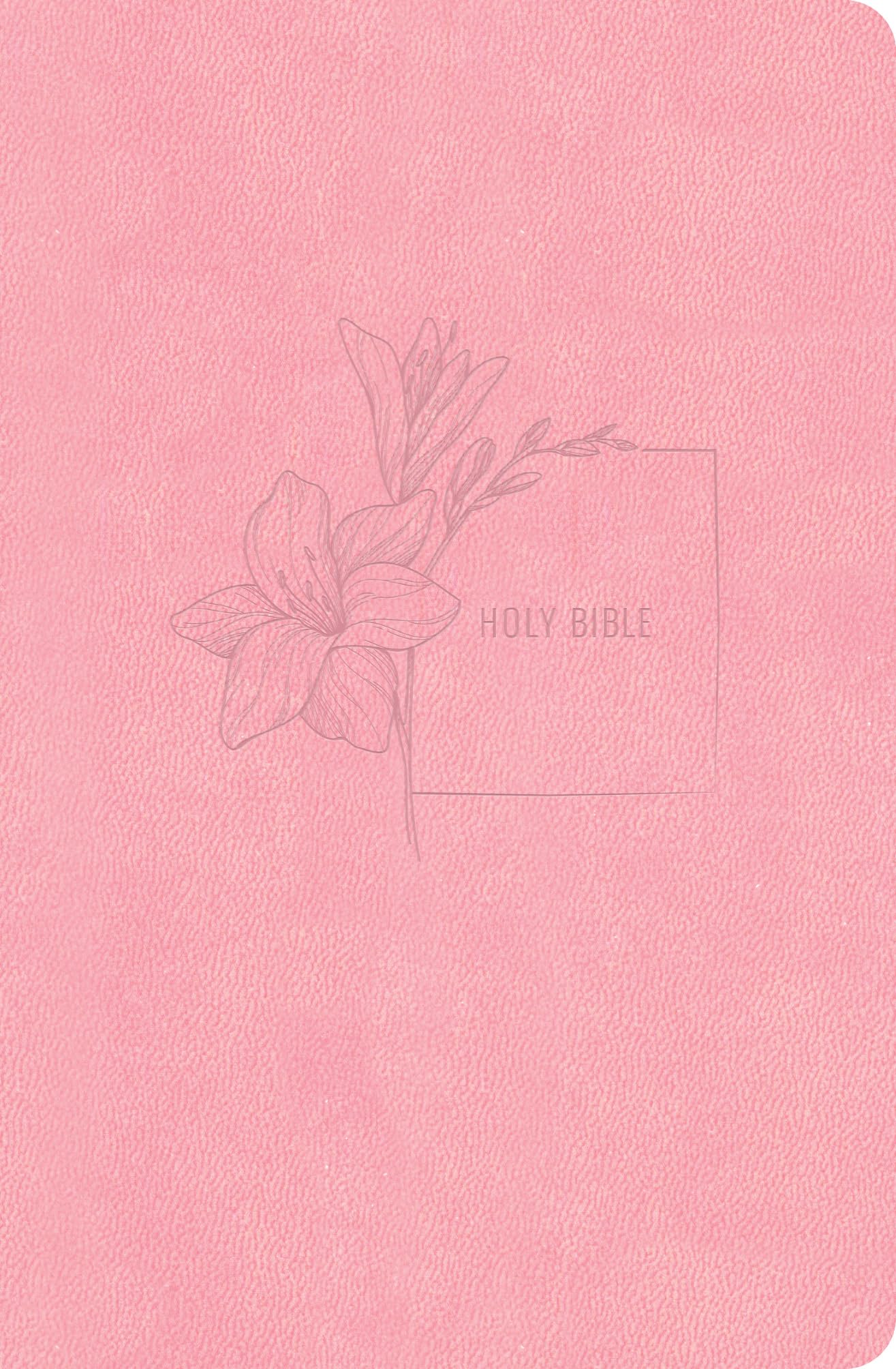 CSB Compact Bible, Value Edition--soft leather-look, soft pink 9798384517566