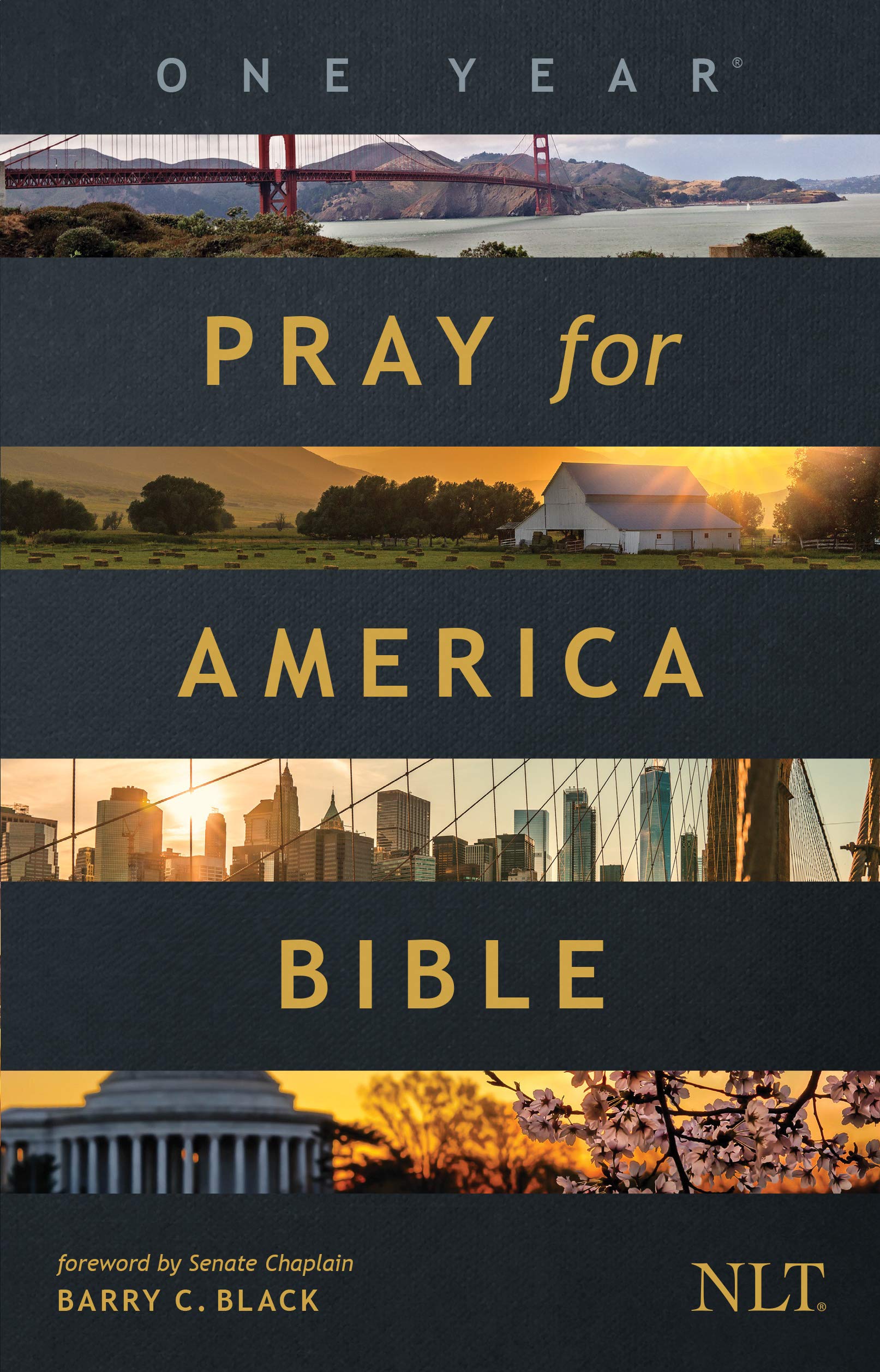 NLT The One Year Pray for America Bible (Paperback) - Inspirational Daily Bible with Non-Partisan Prayer Prompts 9781496443731