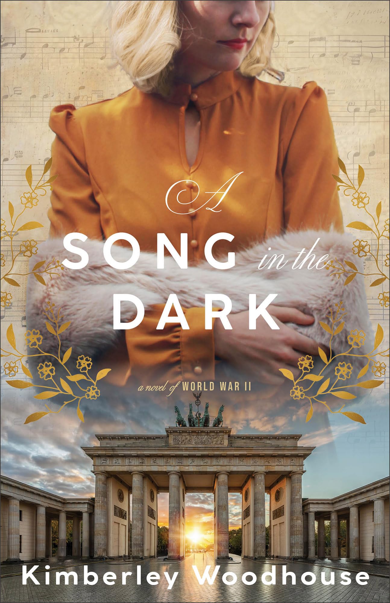 A Song in the Dark 9780764244674