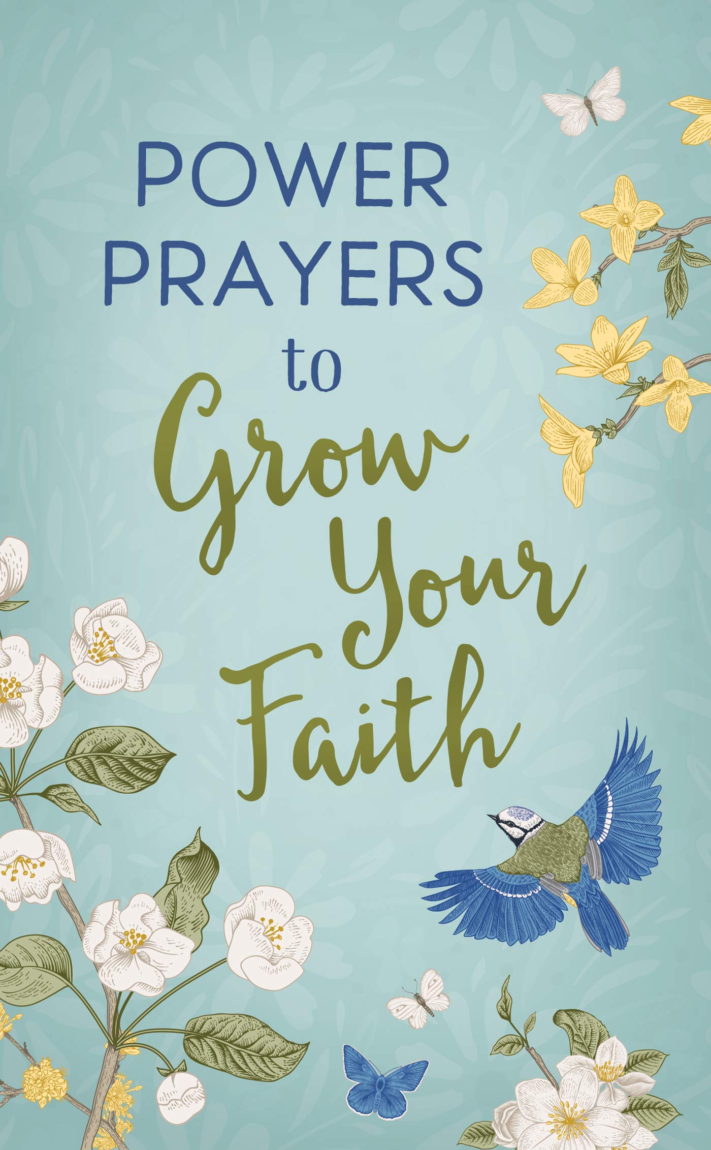 Power Prayers to Grow Your Faith 9781636090405