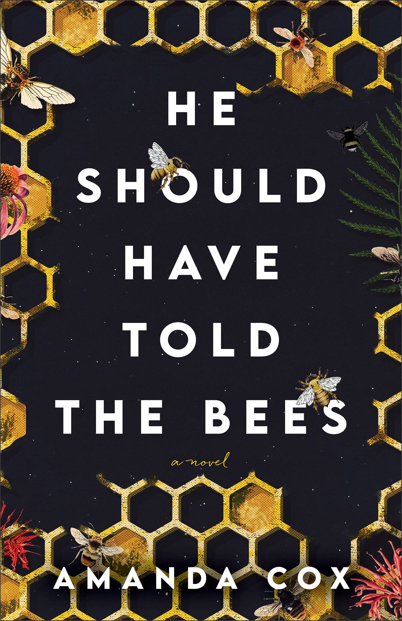 He Should Have Told the Bees: (Women's Contemporary Fiction)