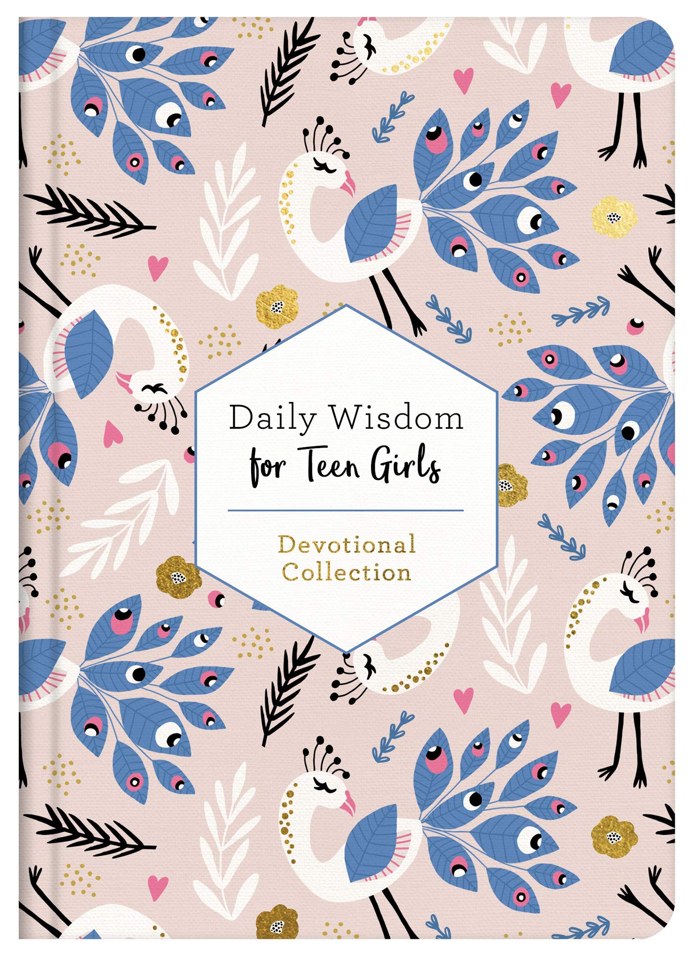Daily Wisdom for Teen Girls 9781643526386