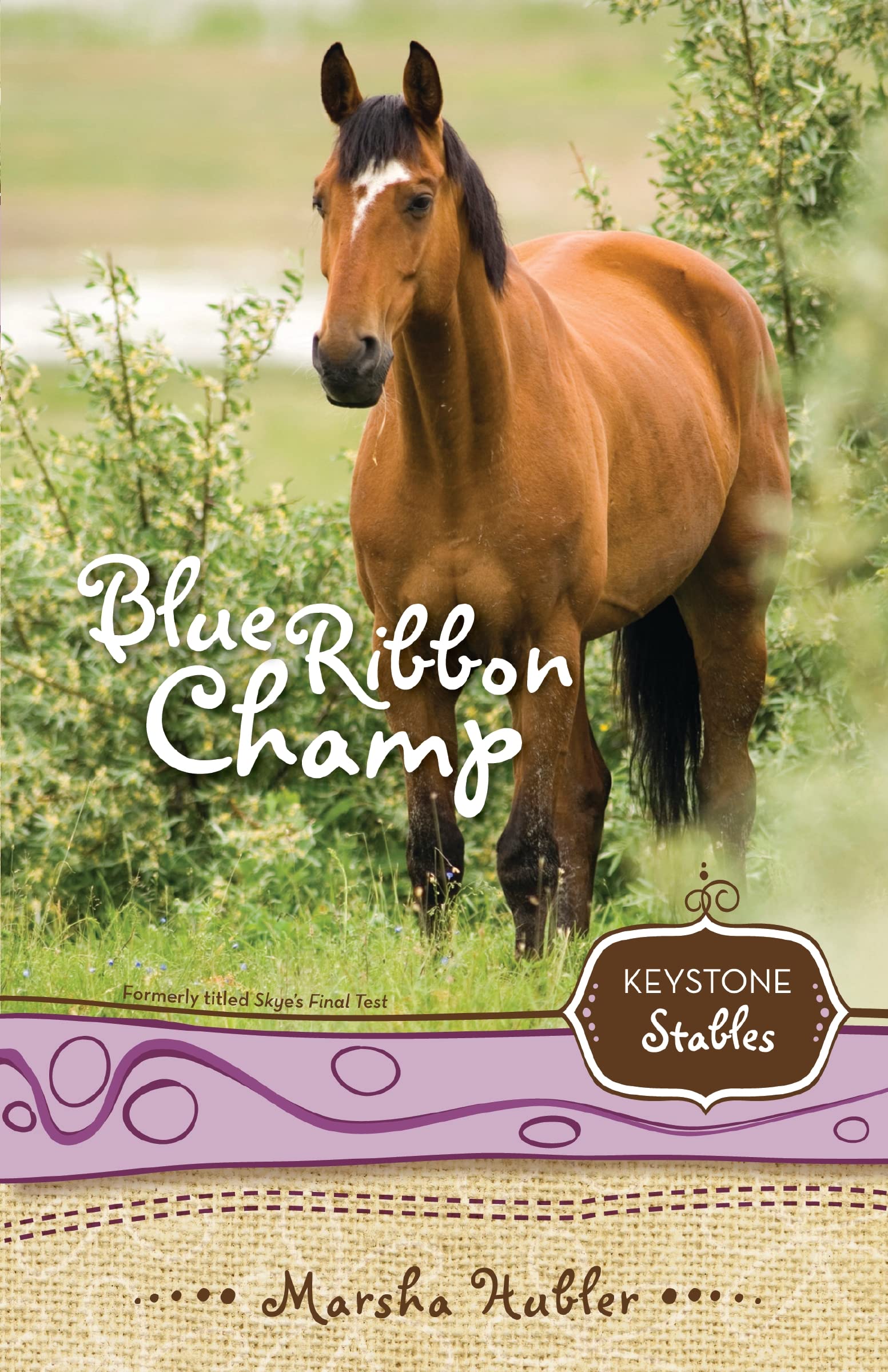 Blue Ribbon Champ (Keystone Stables Book 6)