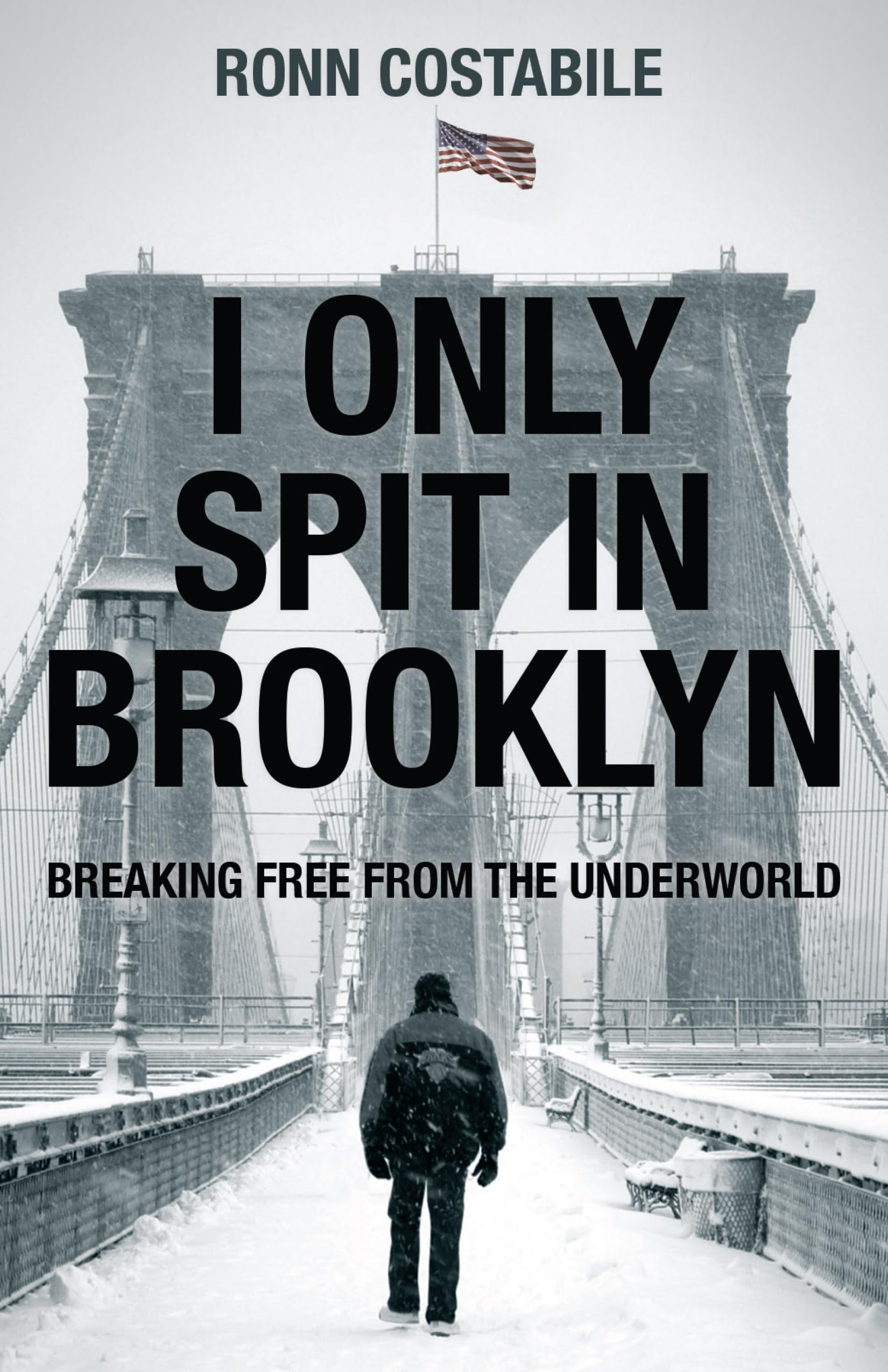 I Only Spit In Brooklyn: Breaking Free From the Underworld 9781610369909