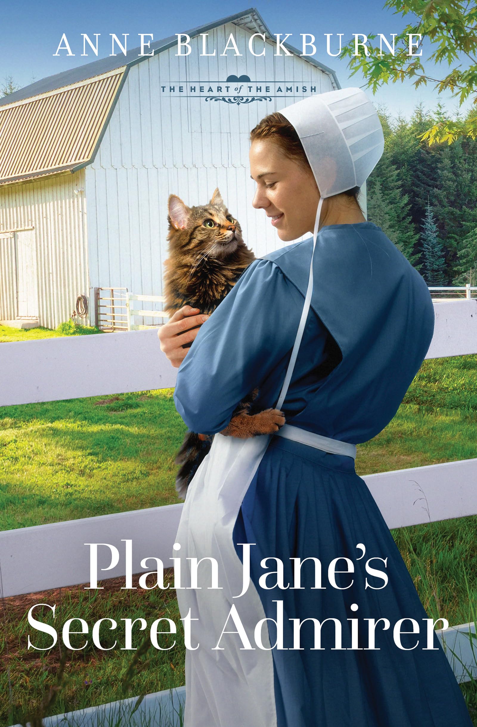Plain Jane's Secret Admirer: Volume 11 (The Heart of the Amish) Book 10 of 11 9798891512573