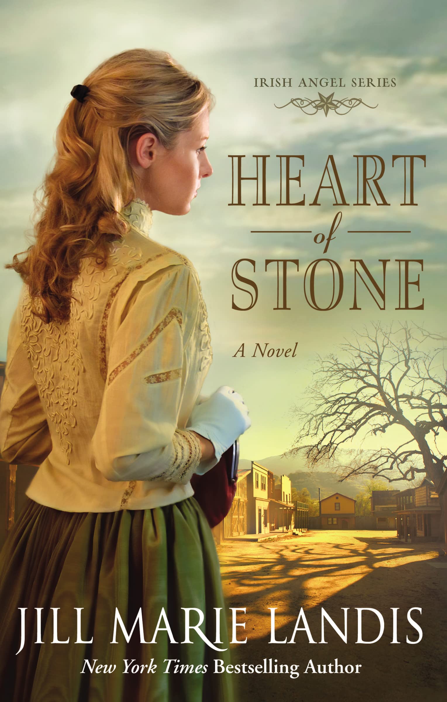 Heart of Stone (Irish Angel Book 1) 9780310293699