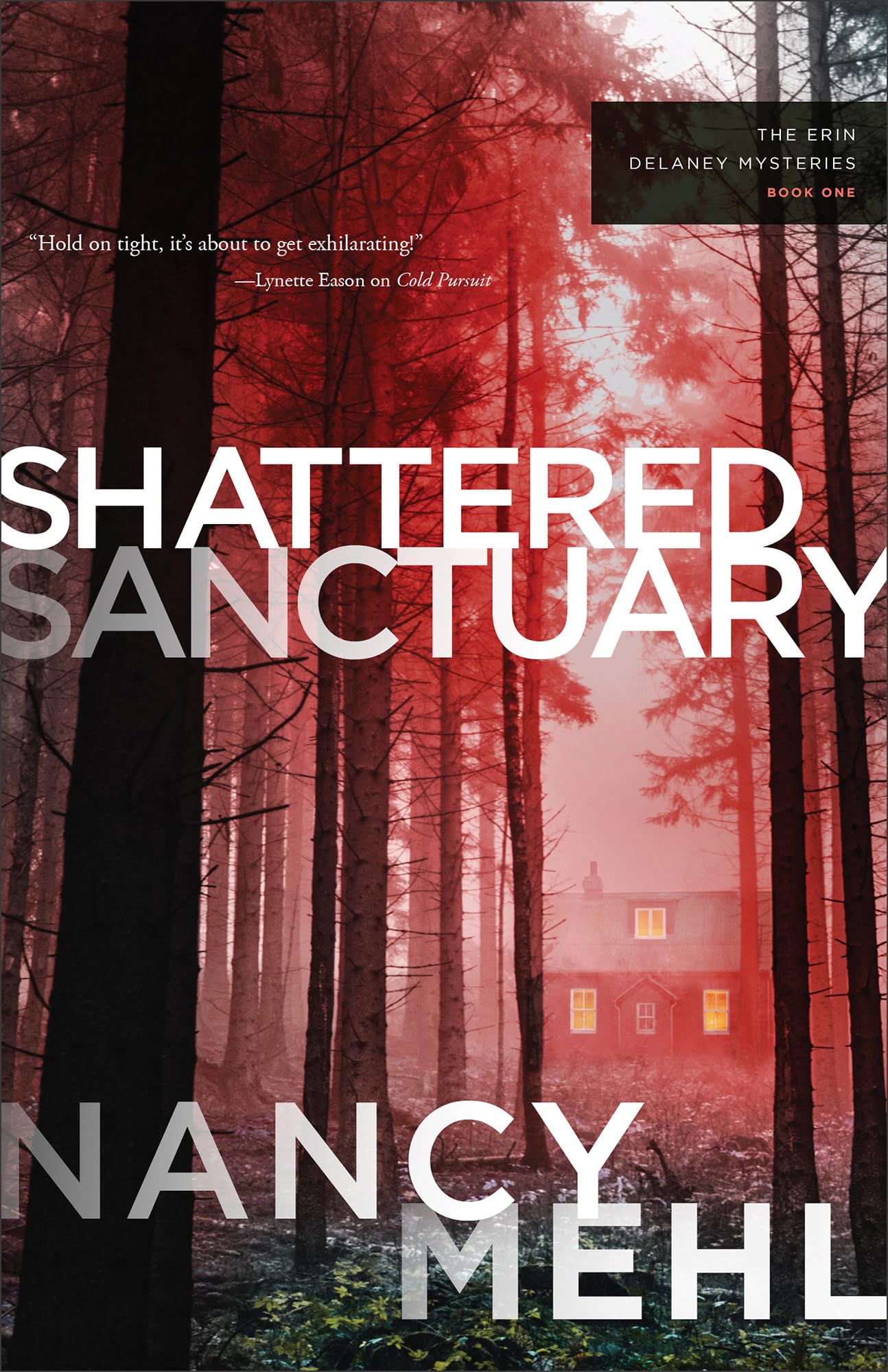Shattered Sanctuary (The Erin Delaney Mysteries), Book 1 of 2 9780764243363