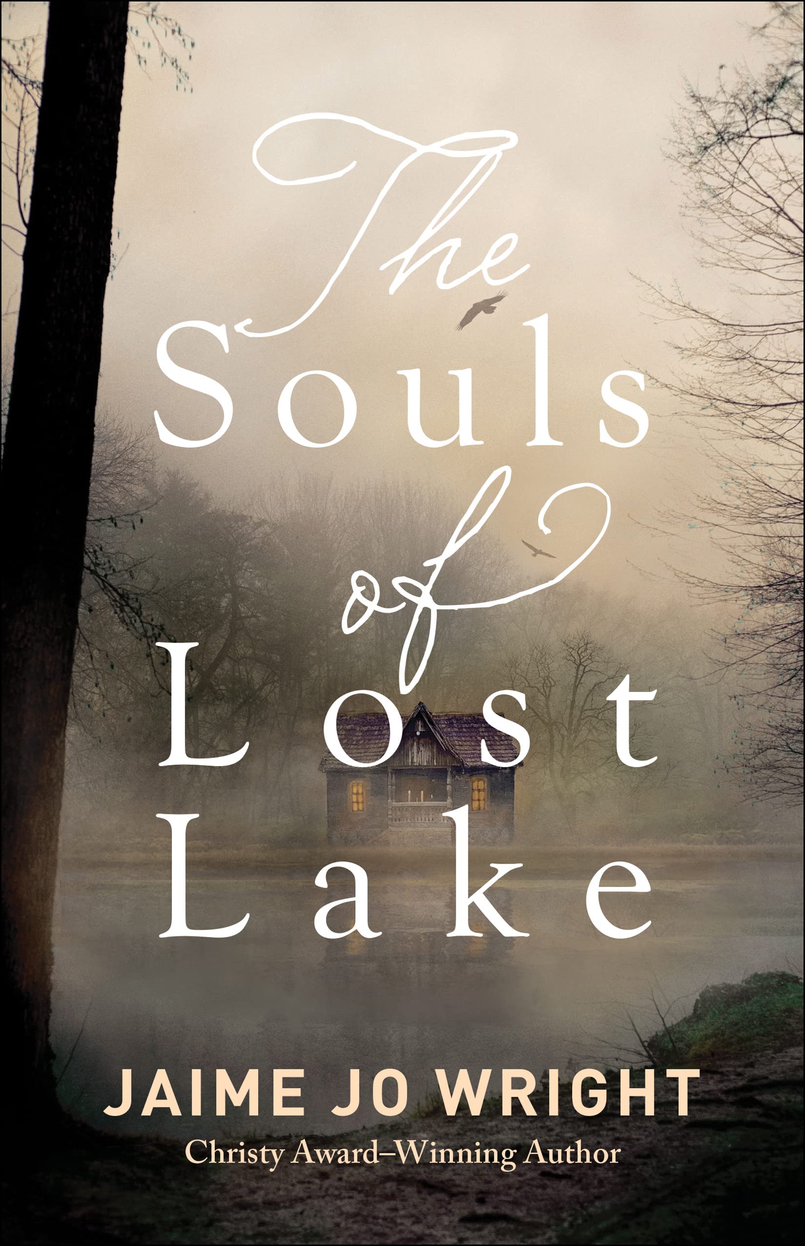 The Souls of Lost Lake 9780764238321