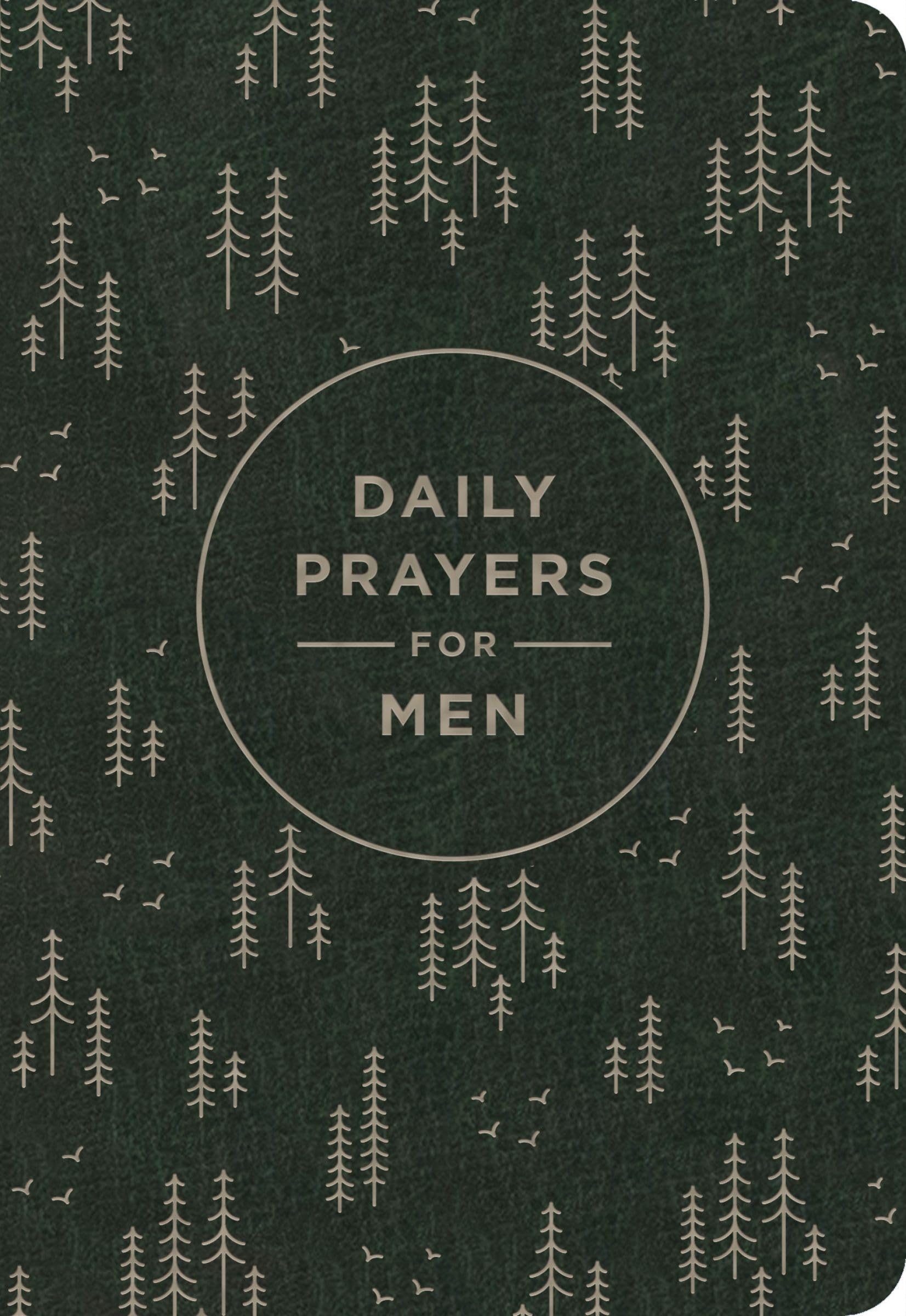 Daily Prayers for Men 9781648709340