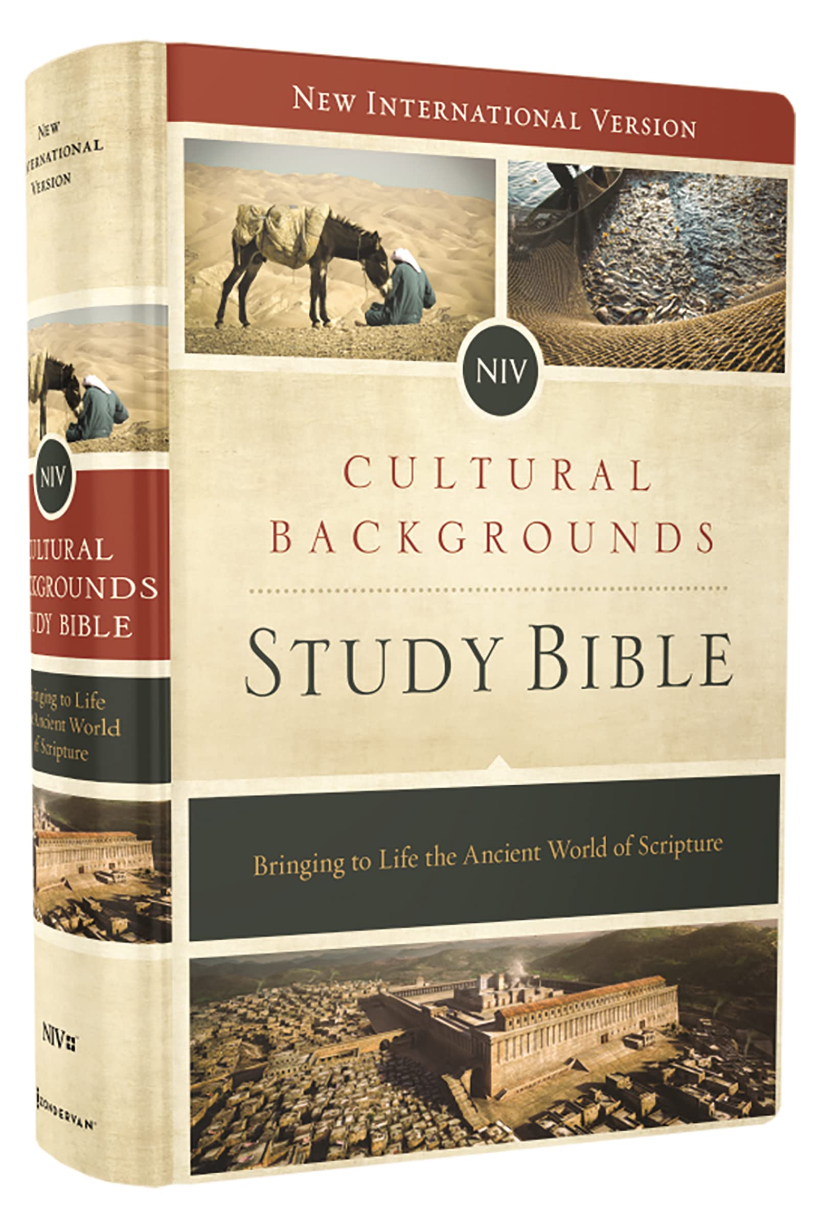 NIV Cultural Backgrounds Study Bible 9780310431589
