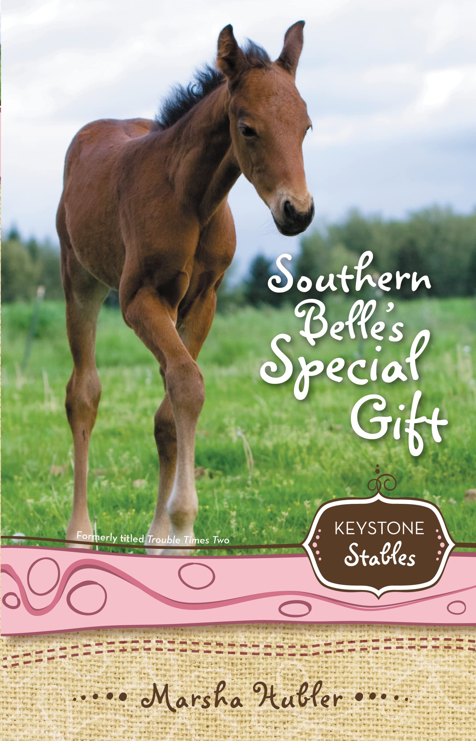 Southern Belle's Special Gift (Keystone Stables Book 3) 9780310717942