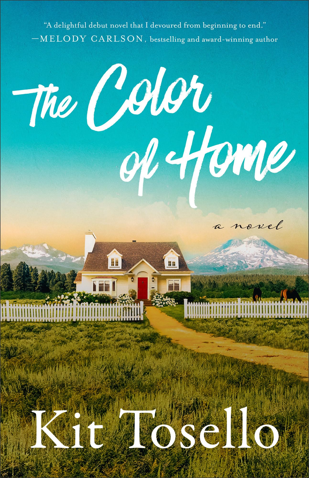 The Color of Home 9780800772697