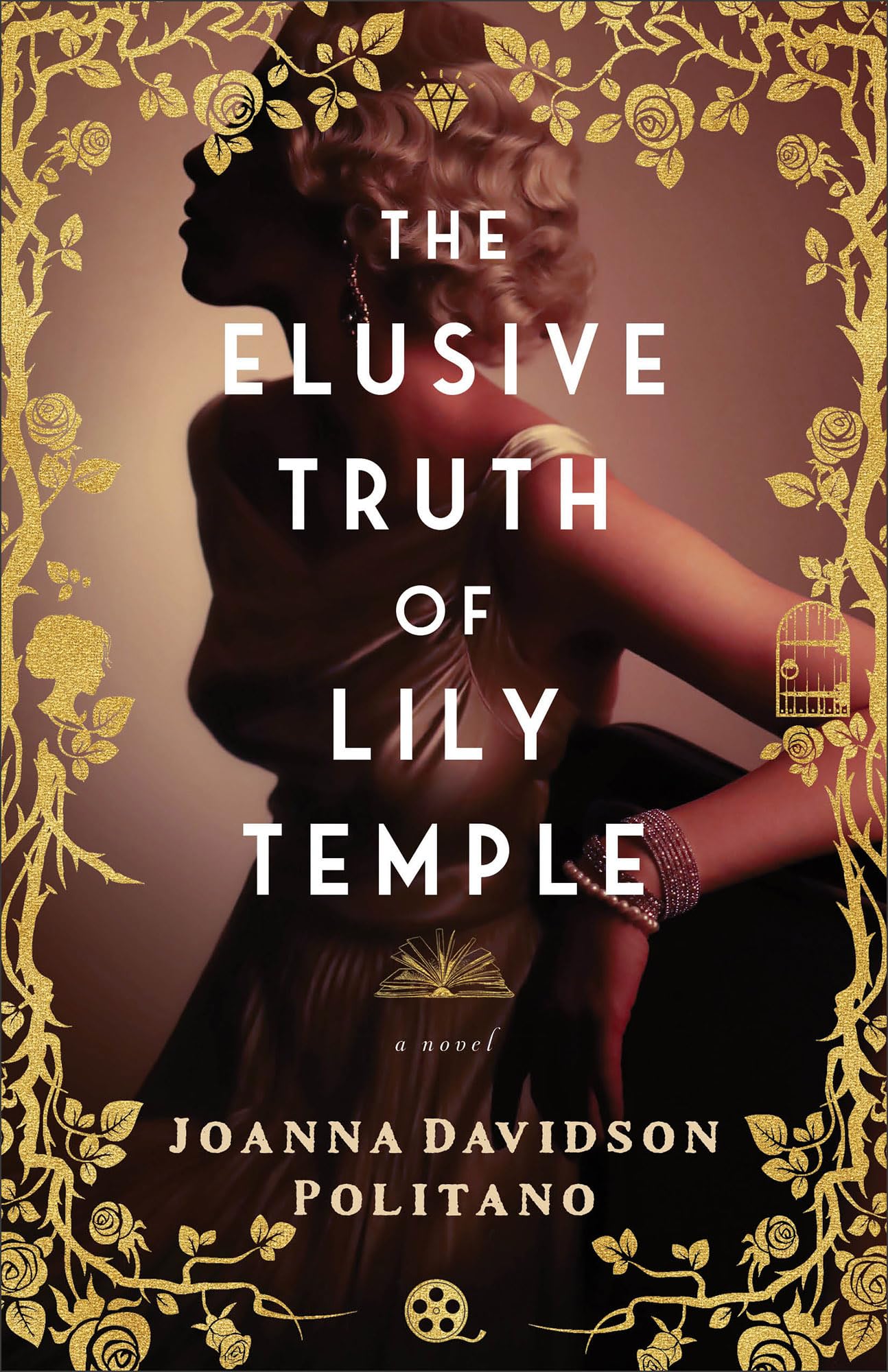 Elusive Truth of Lily Temple: A Novel 9780800742973