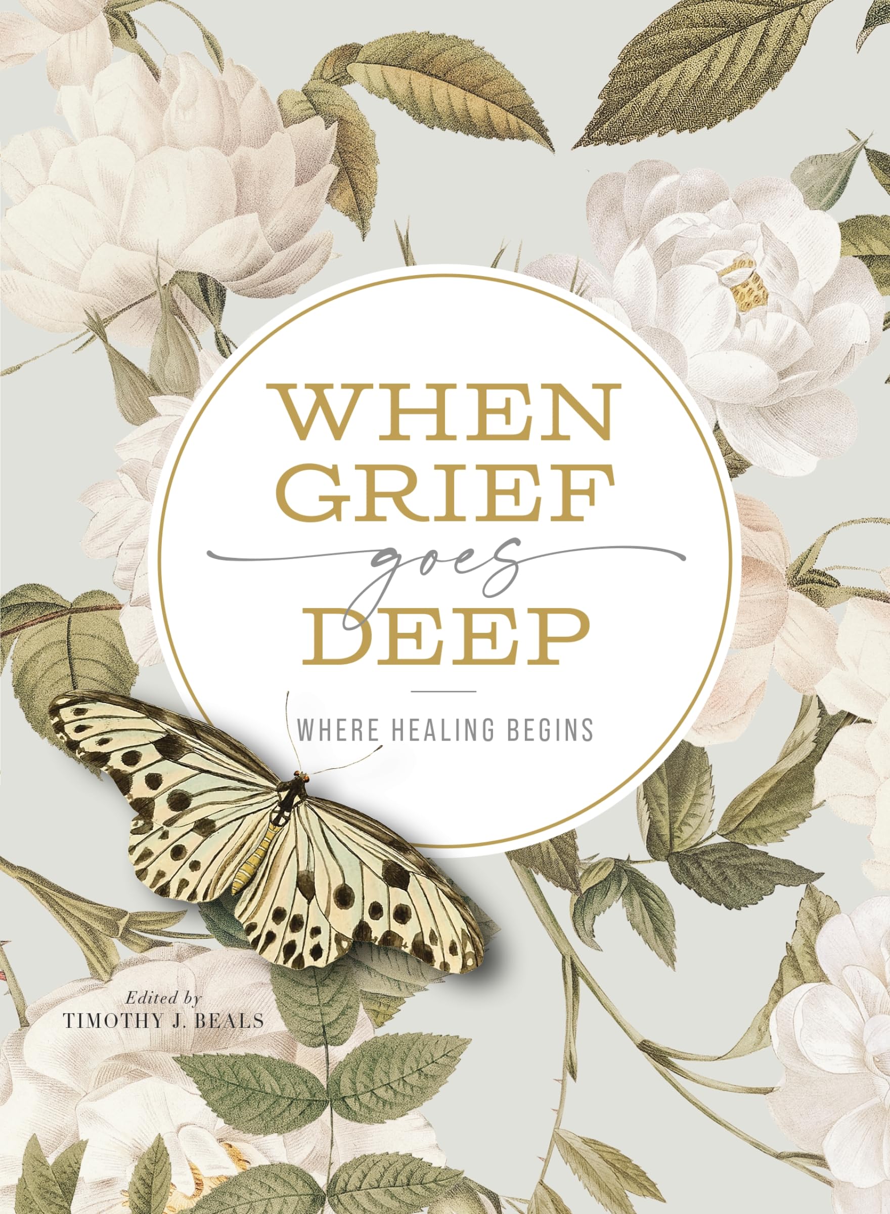 When Grief Goes Deep: Where Healing Begins 9780310158059