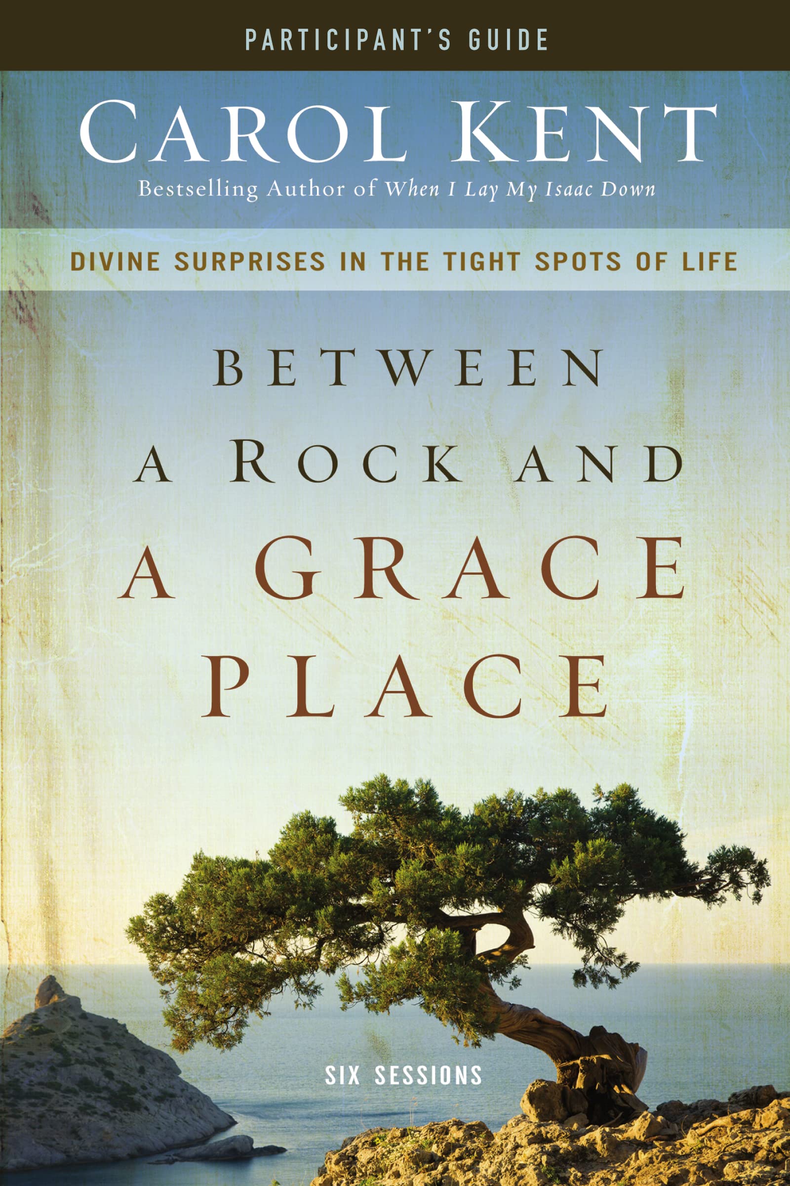 Between a Rock and a Grace Place Participant's Guide: Divine Surprises in the Tight Spots of Life 9780310890331