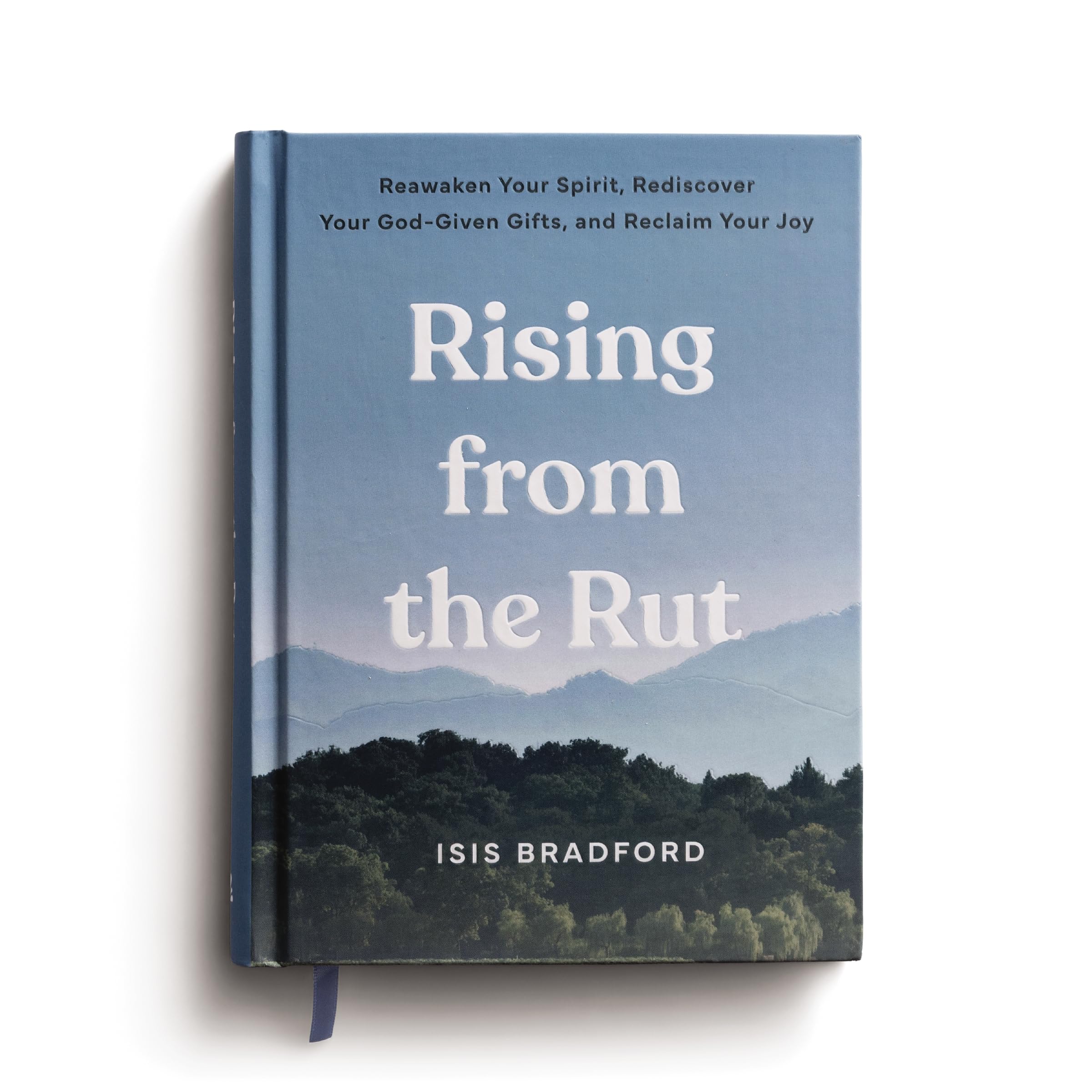 Rising from the Rut: Reawaken Your Spirit, Rediscover Your God-given Gifts, and Reclaim Your Joy 9798886033809