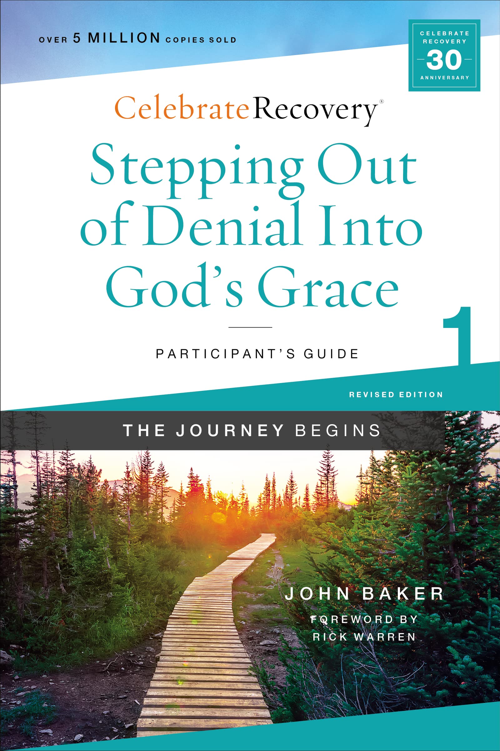 Stepping Out of Denial into God's Grace Participant's Guide 1 9780310131380