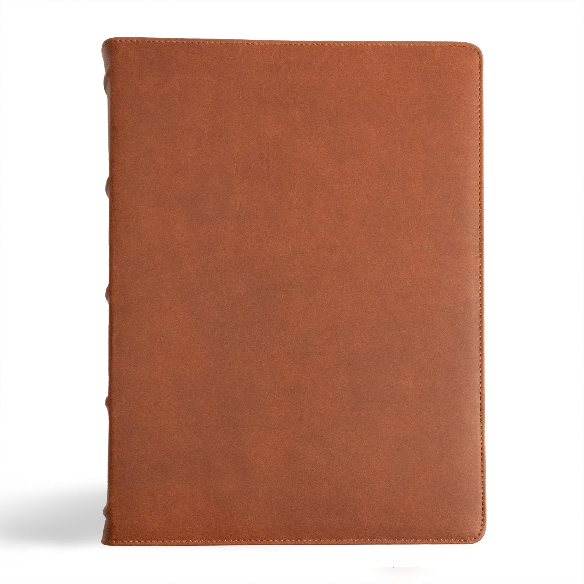 CSB Verse-by-Verse Reference Bible, Holman Handcrafted Collection, Premium Marbled Tan Calfskin, Black Letter, Easy-to-Read Bible Serif Type 9781430094555