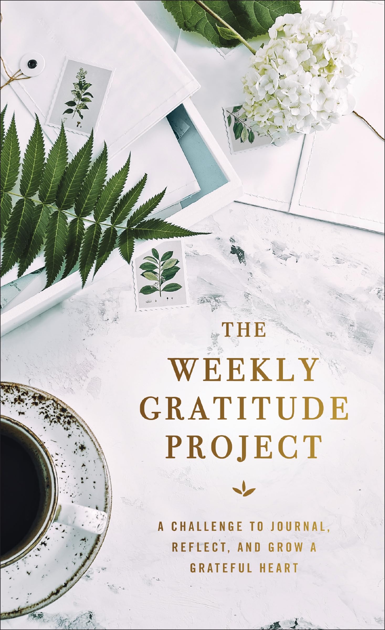The Weekly Gratitude Project: A Challenge to Journal, Reflect, and Grow a Grateful Heart 9780310455240